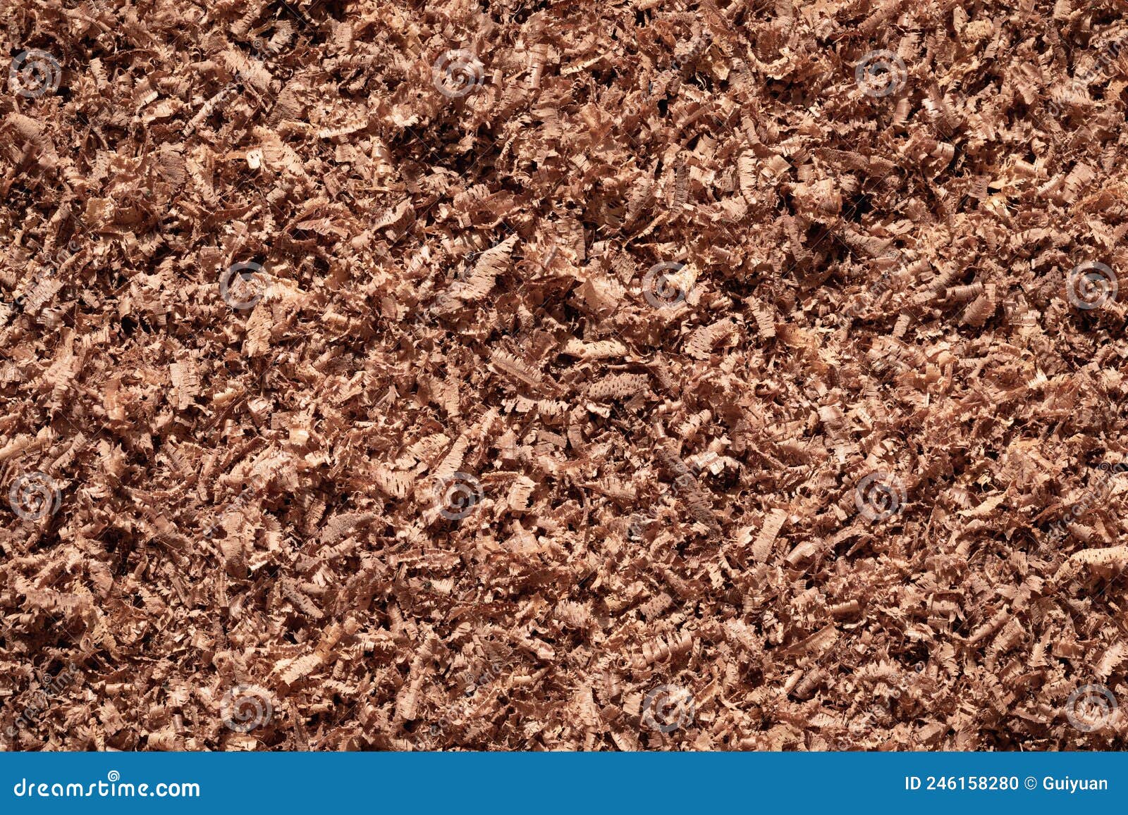 Walnut Sawdust Layer. Sawdust Background. Stock Photo Image of