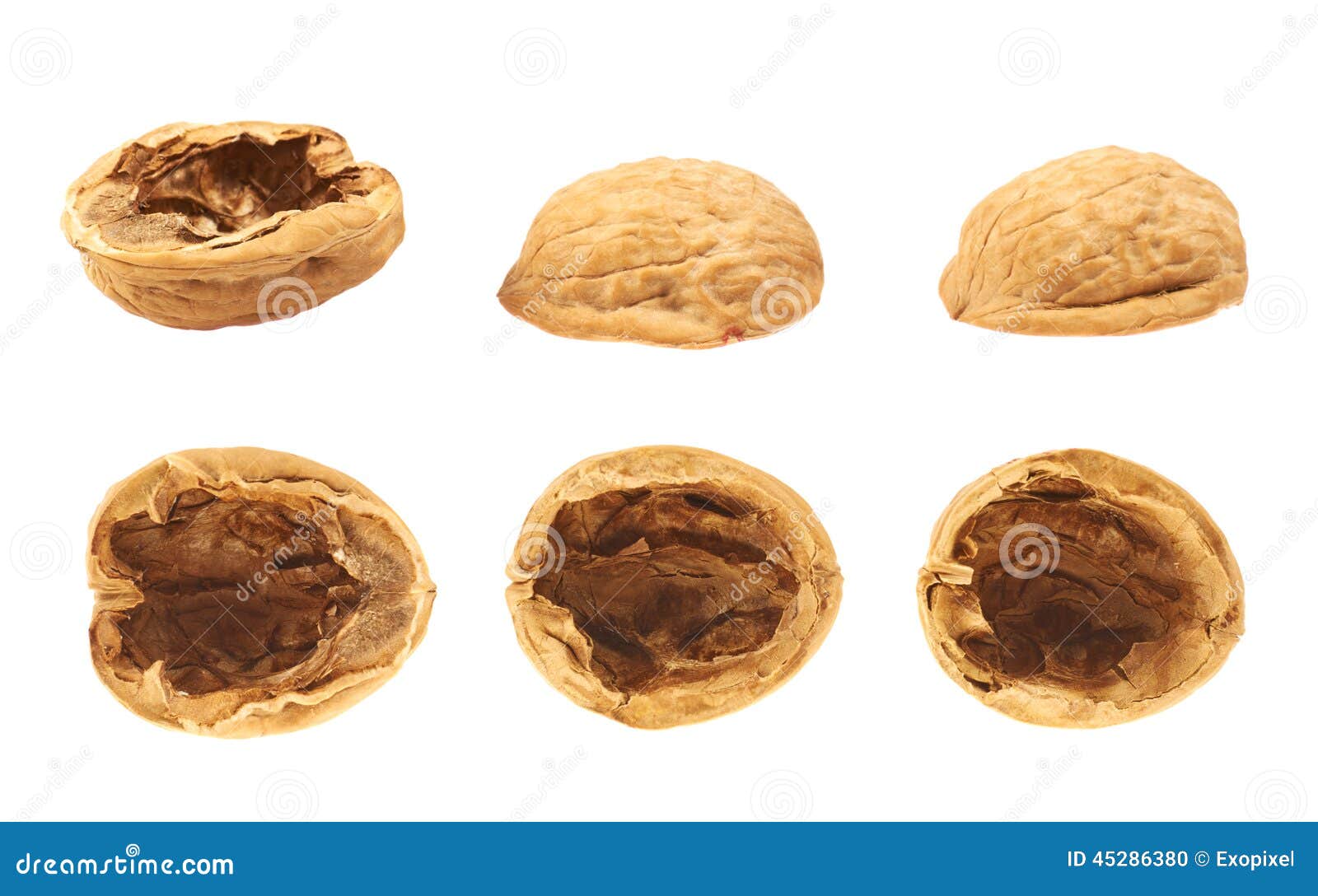 Crushed Walnut Shells And Peanut Shells Scattered, Isolated On White Stock  Photo, Picture and Royalty Free Image. Image 66453477.