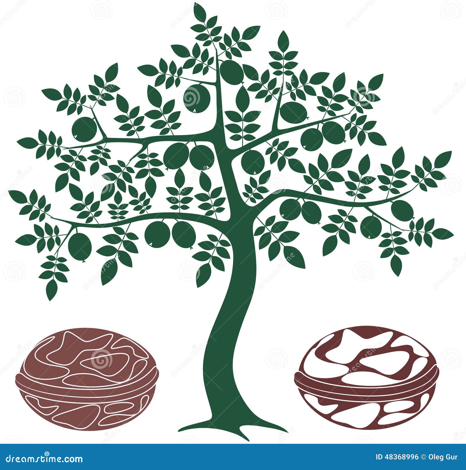 clipart of tree nuts - photo #24