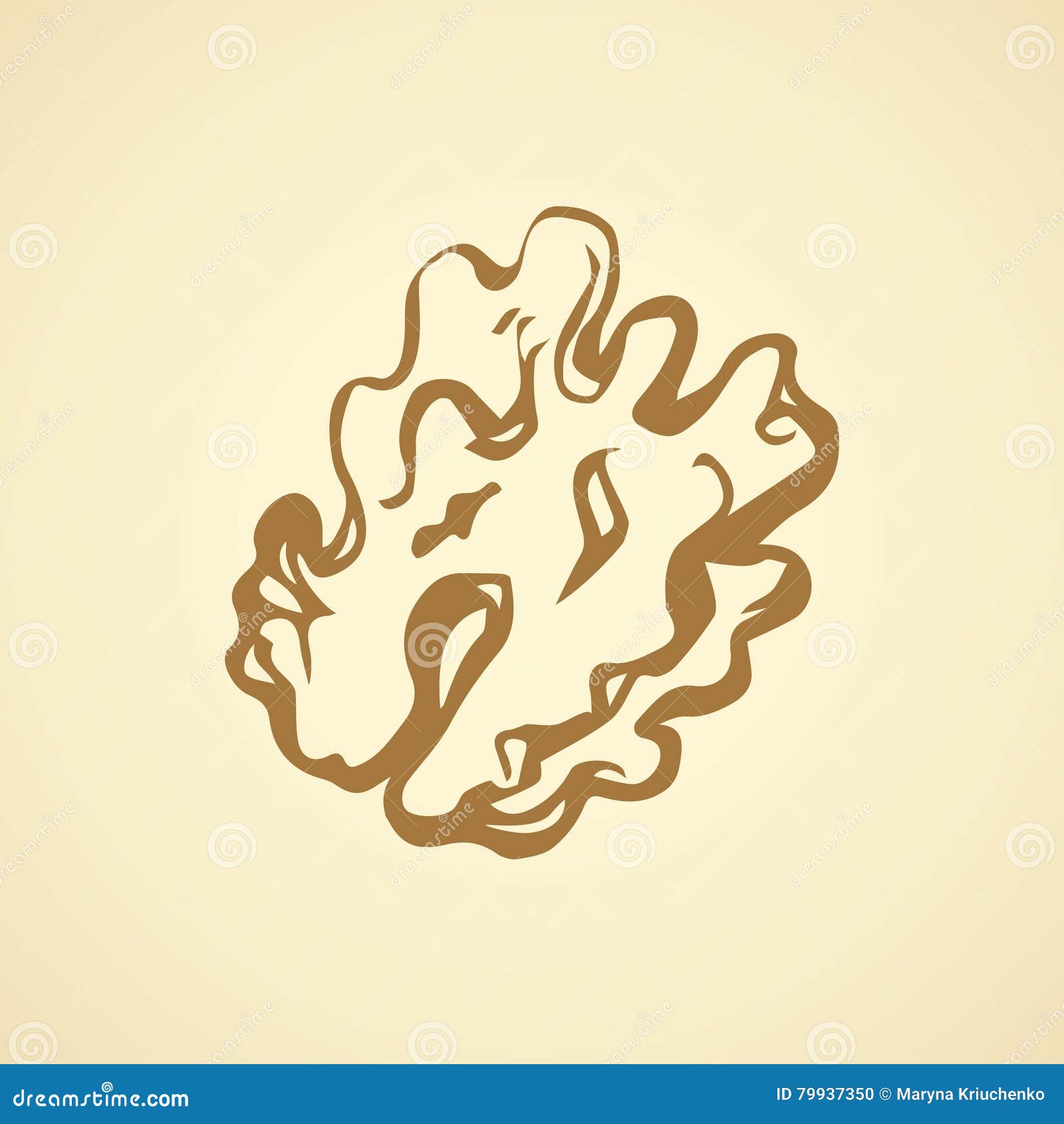 Walnut. Vector drawing stock vector. Illustration of autumn - 79937350