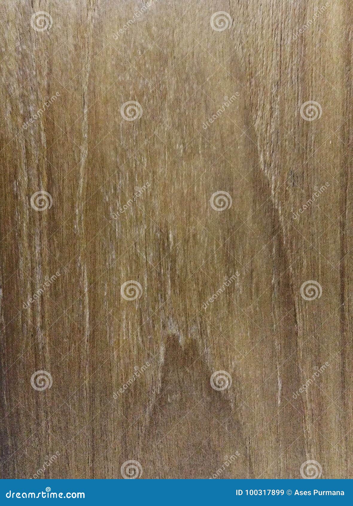 Walnut veneer stock image. Image of bleaching, walnut 100317899