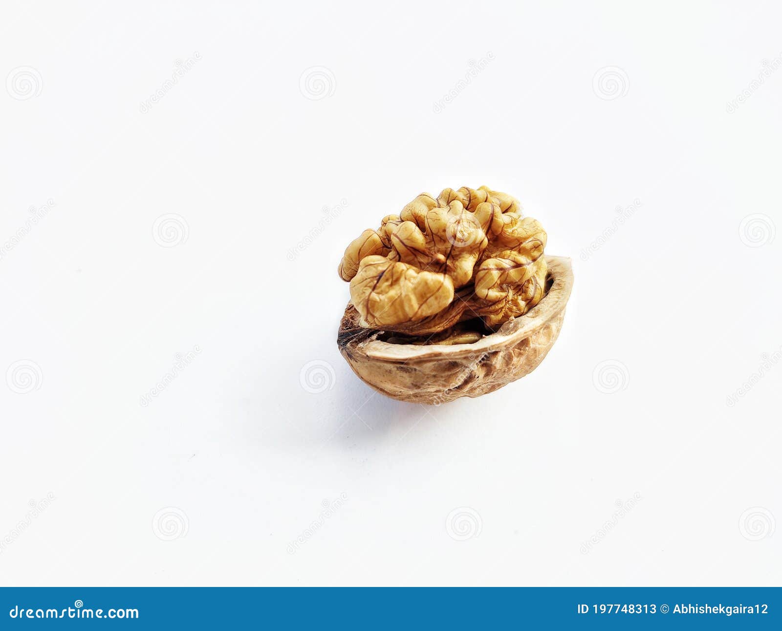 walnut on white background.nuts