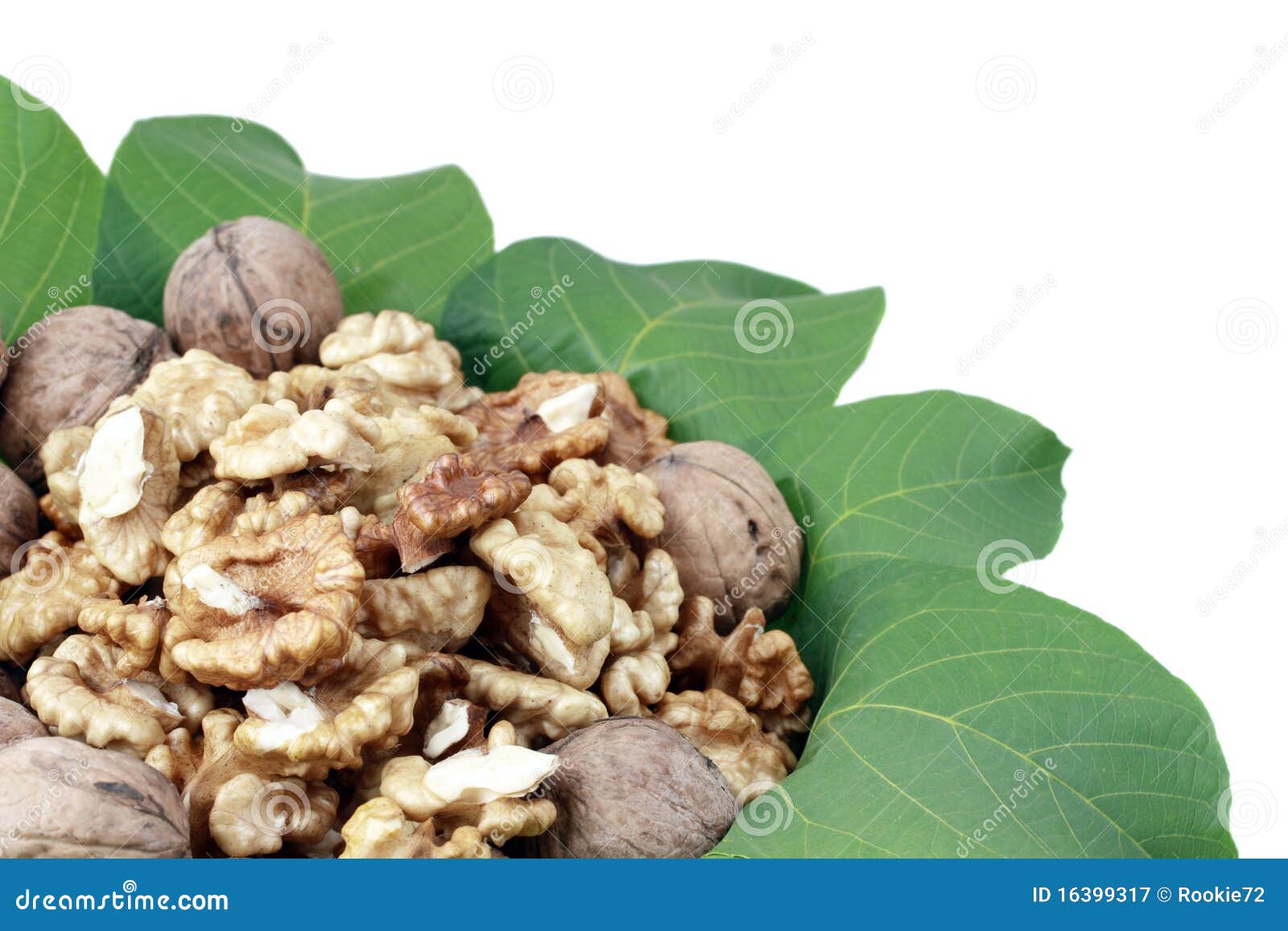 Walnuts stock image. Image of full, walnut, cross, healthy 16399317