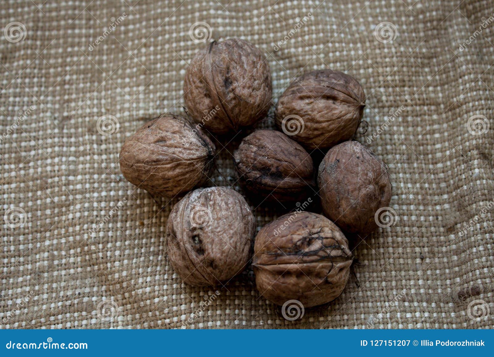 A Walnuts in the Background of Burlap Stock Image Image of rustic