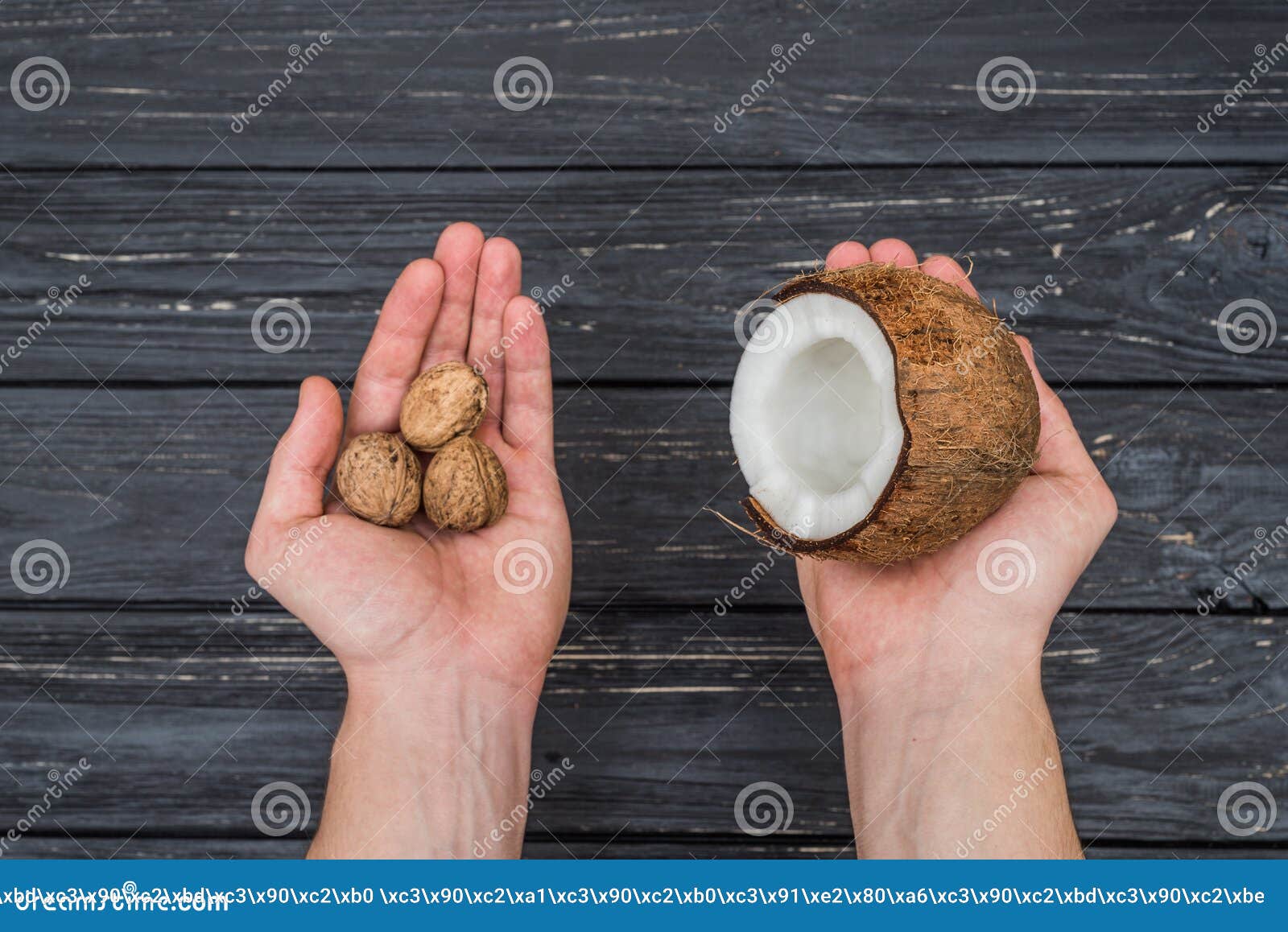 Walnuts and Coconut in Female Hands Stock Image Image of beauty