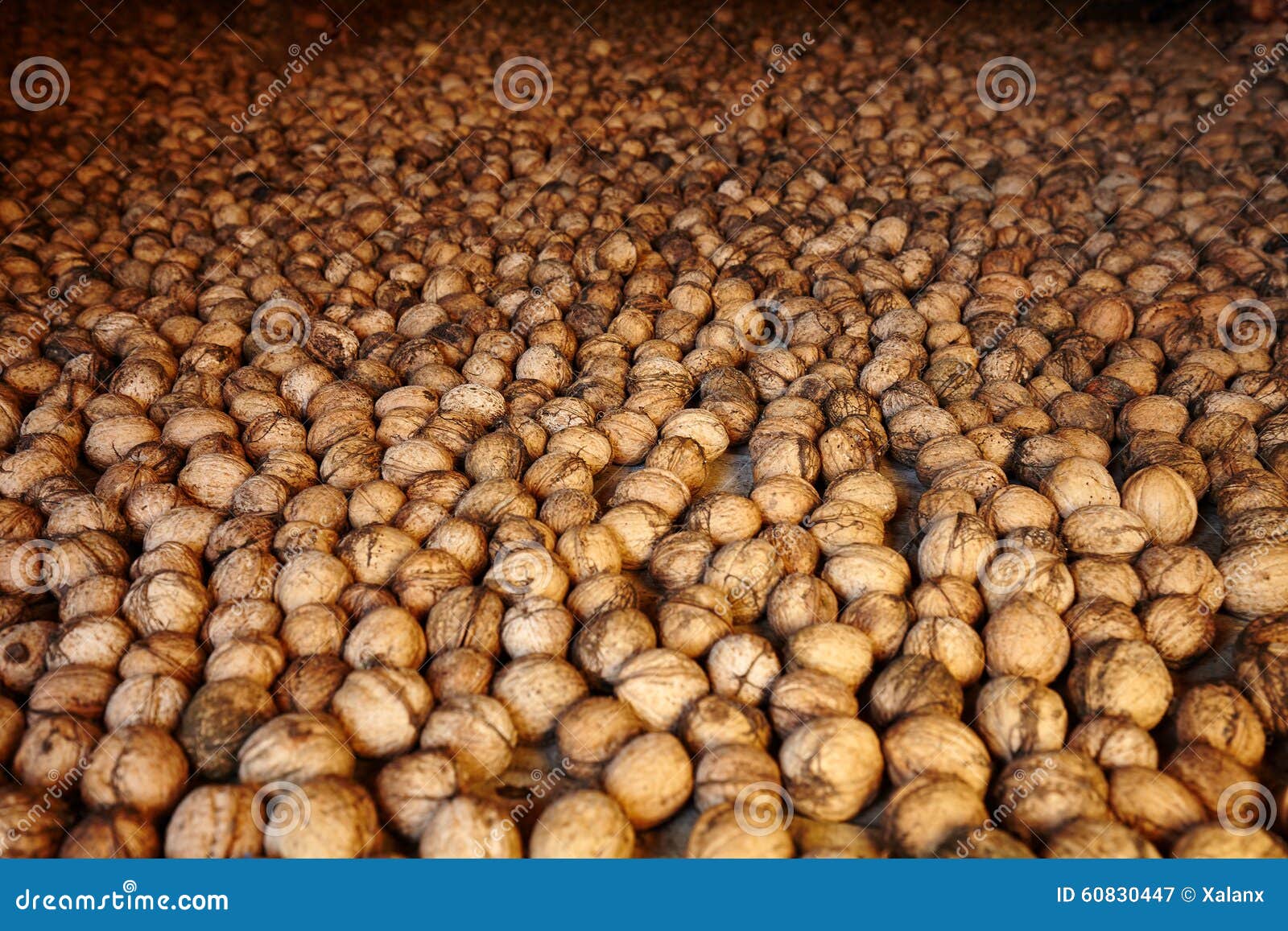 Walnuts for dry stock image. Image of background, agriculture 60830447