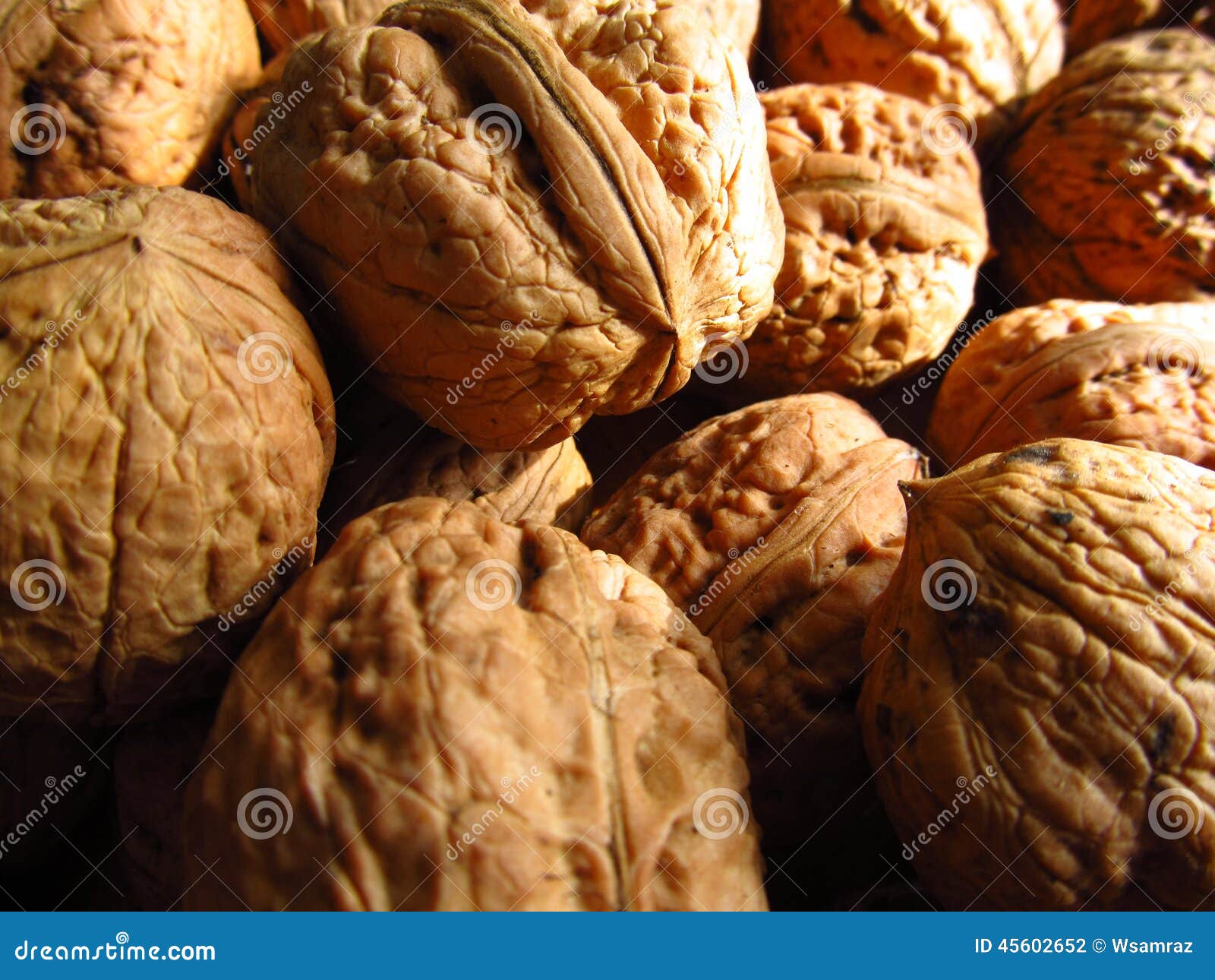 Walnuts stock photo. Image of autumn, fall, walnuts, plant 45602652