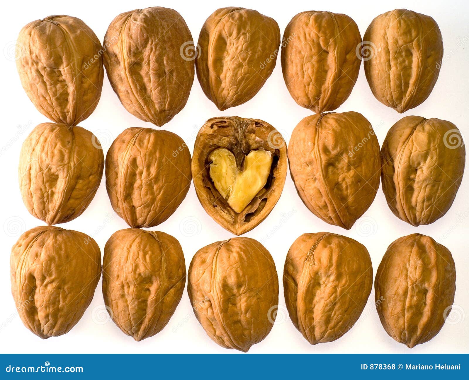 Walnuts with heart stock photo. Image of rows, christmas 878368