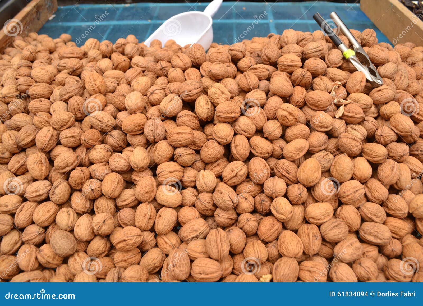 Walnuts stock photo. Image of regia, healthy, food, italian 61834094