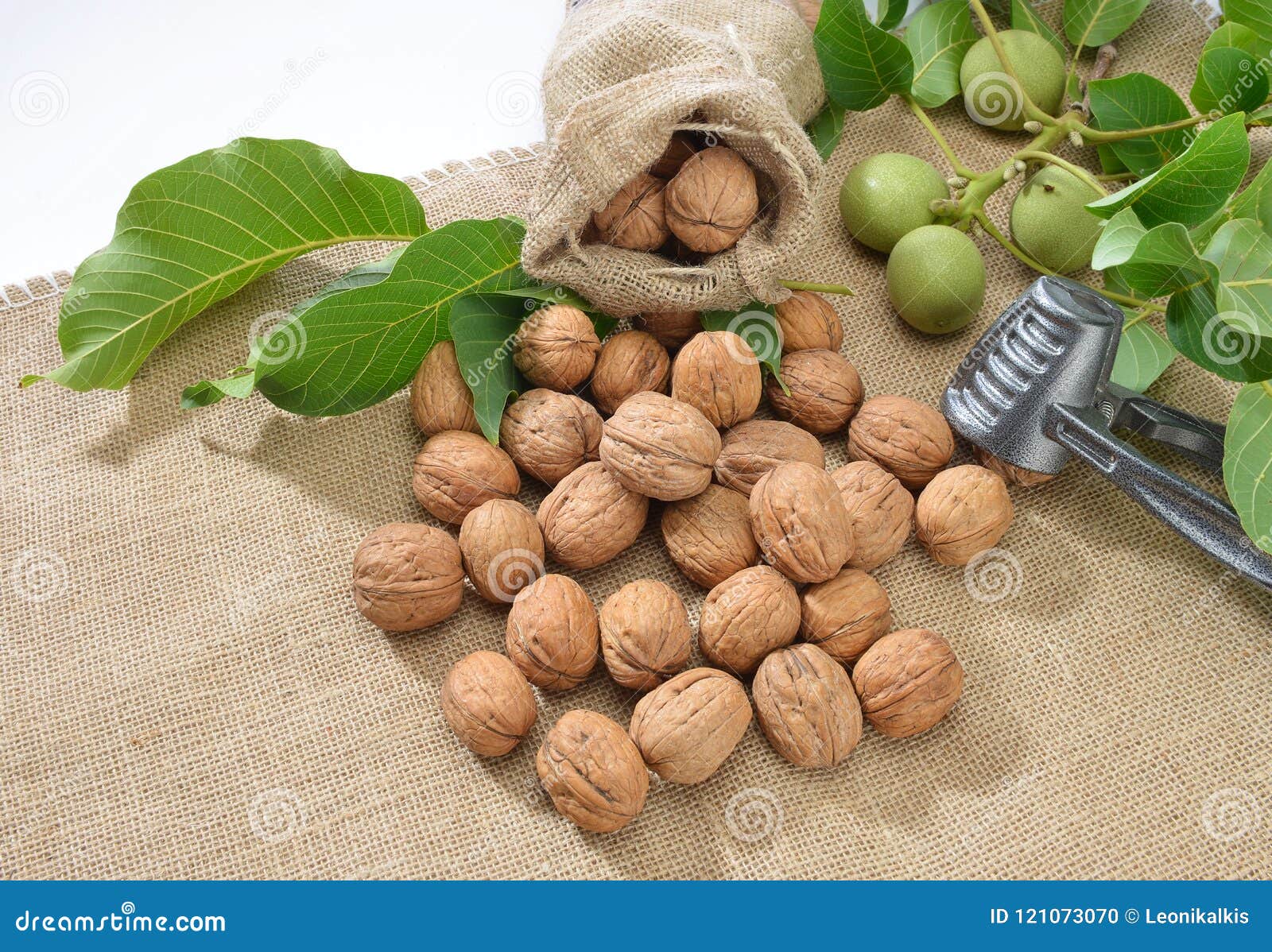 Walnuts with Leaf and Nutcracker on Sackcloth Stock Photo Image of