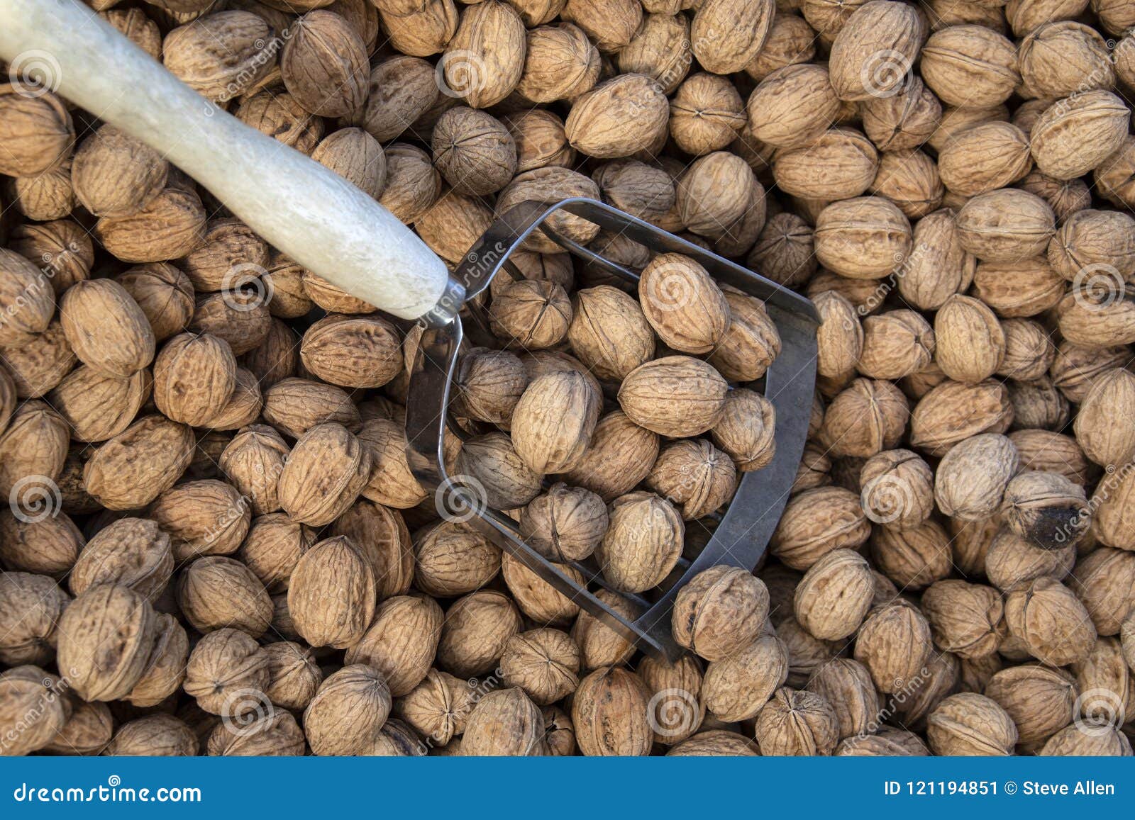 Walnuts on a market stall stock image. Image of edible 121194851