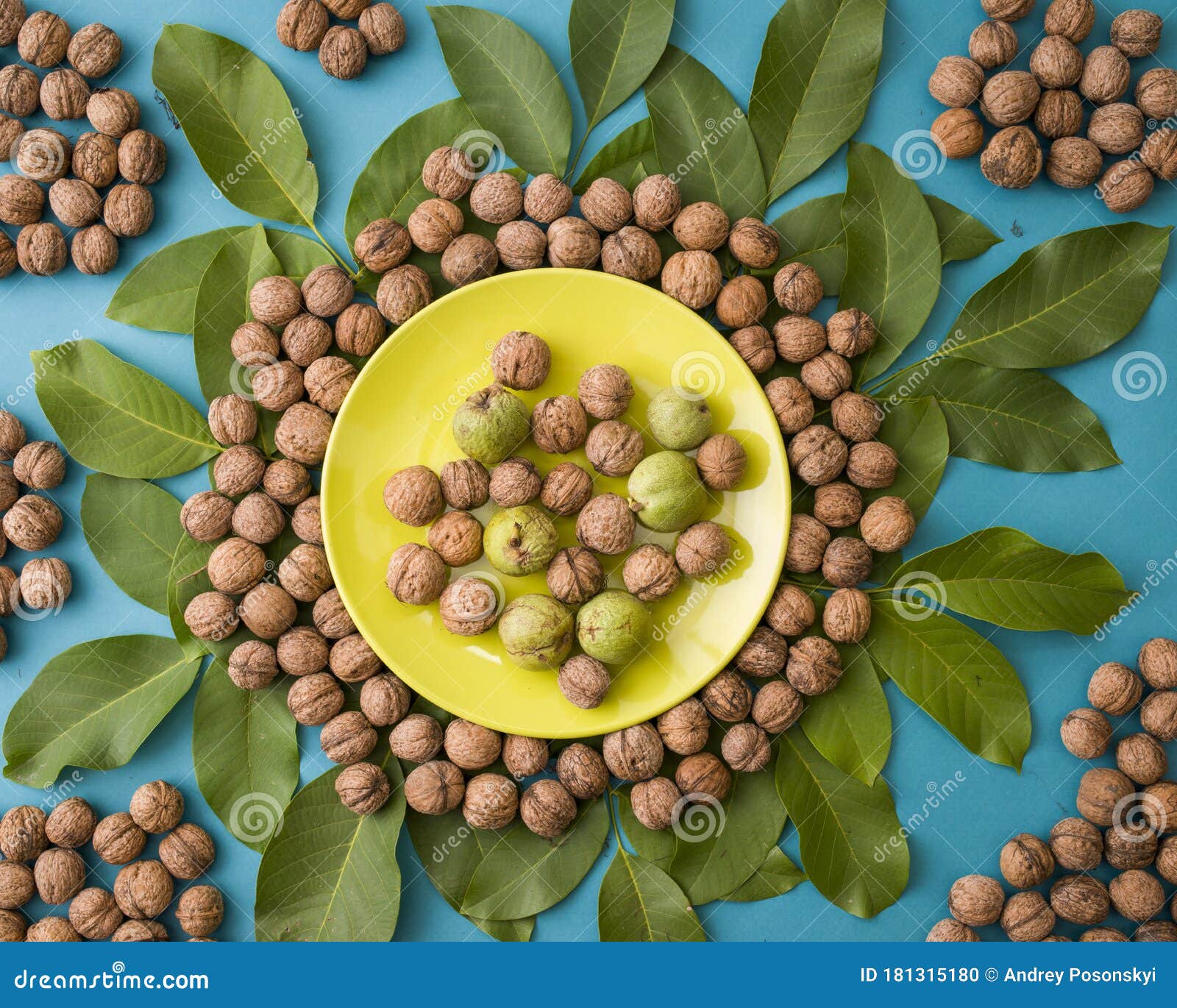 Walnuts Near a Plate with Leaves from a Tree Stock Photo Image of