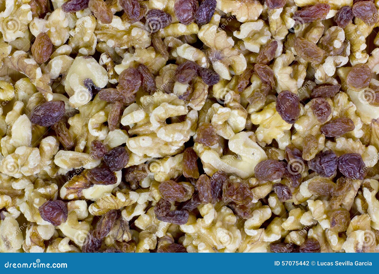 Walnuts and raisins stock photo. Image of group, brown 57075442
