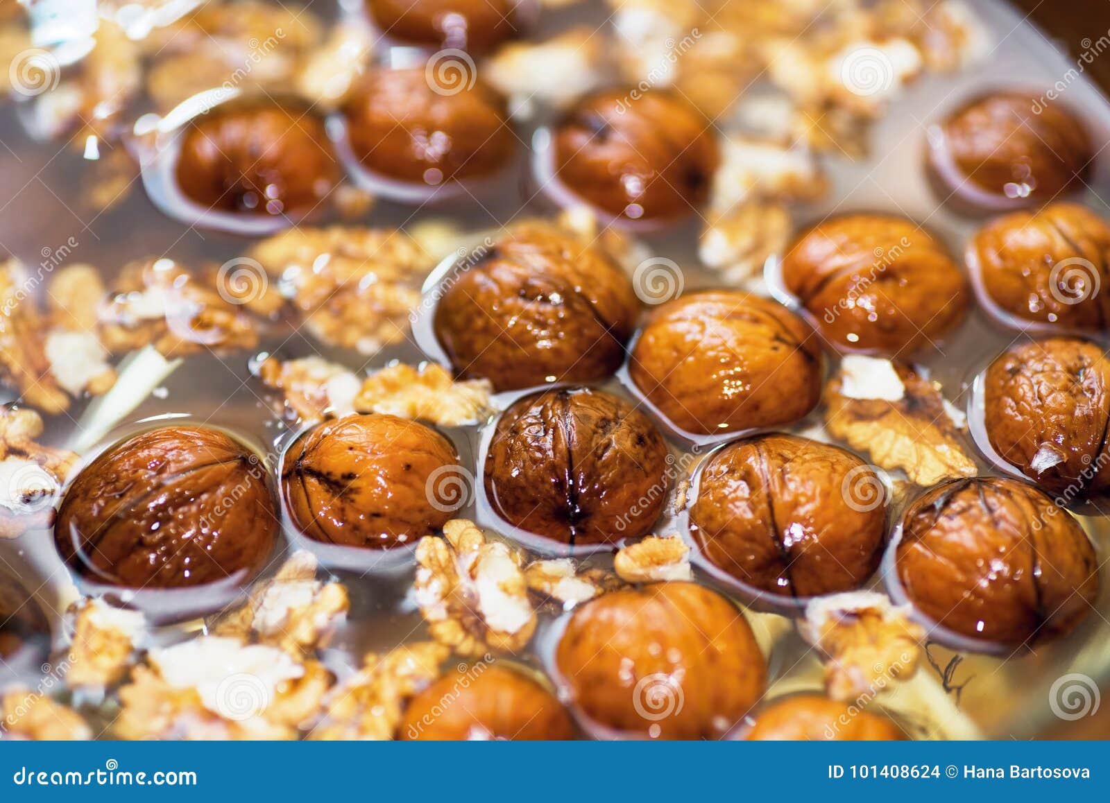 Walnut in water. stock photo. Image of closeup, energy 101408624