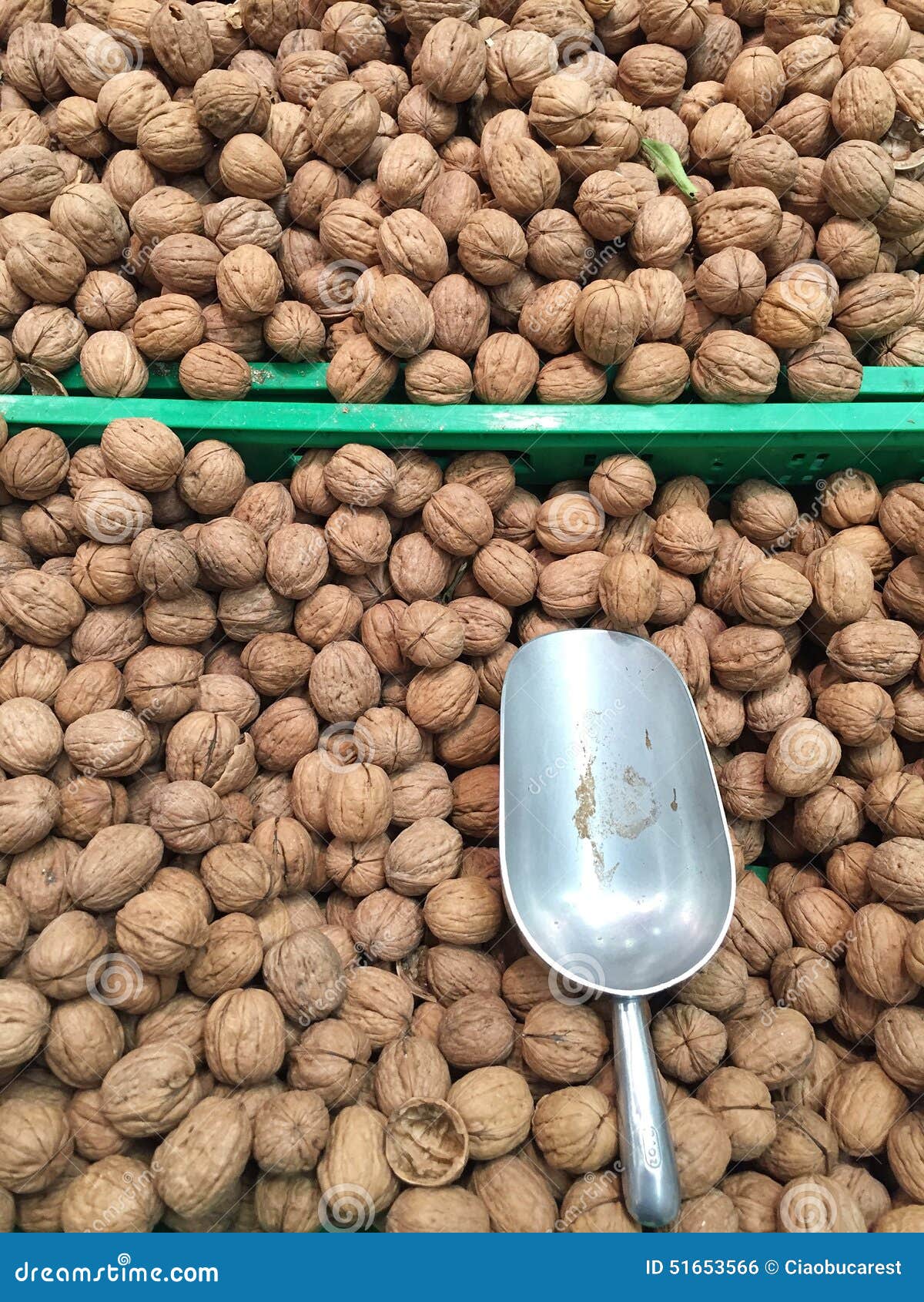 Walnuts at the supermarket stock photo. Image of store 51653566