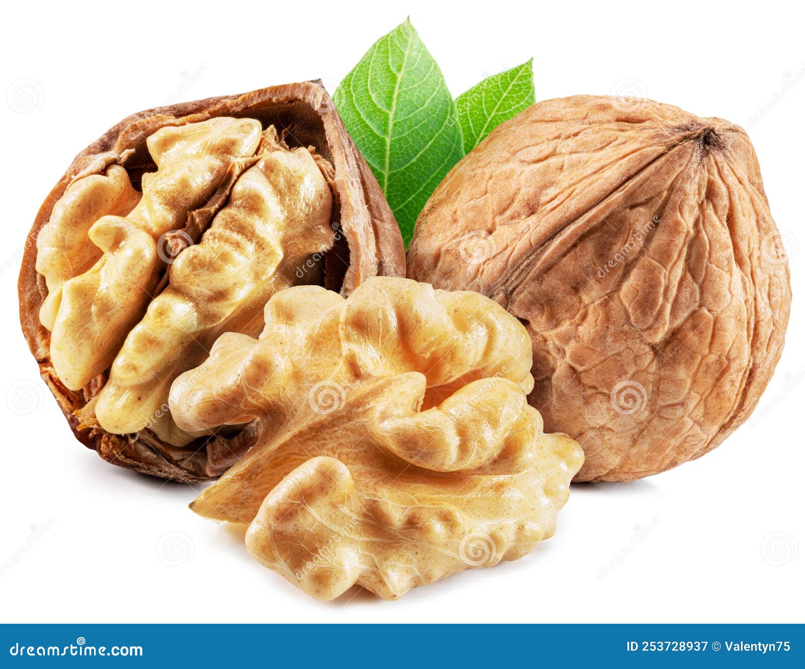 Walnuts, Walnut Kernel and Green Leaves Isolated on White Background Stock Image Image of