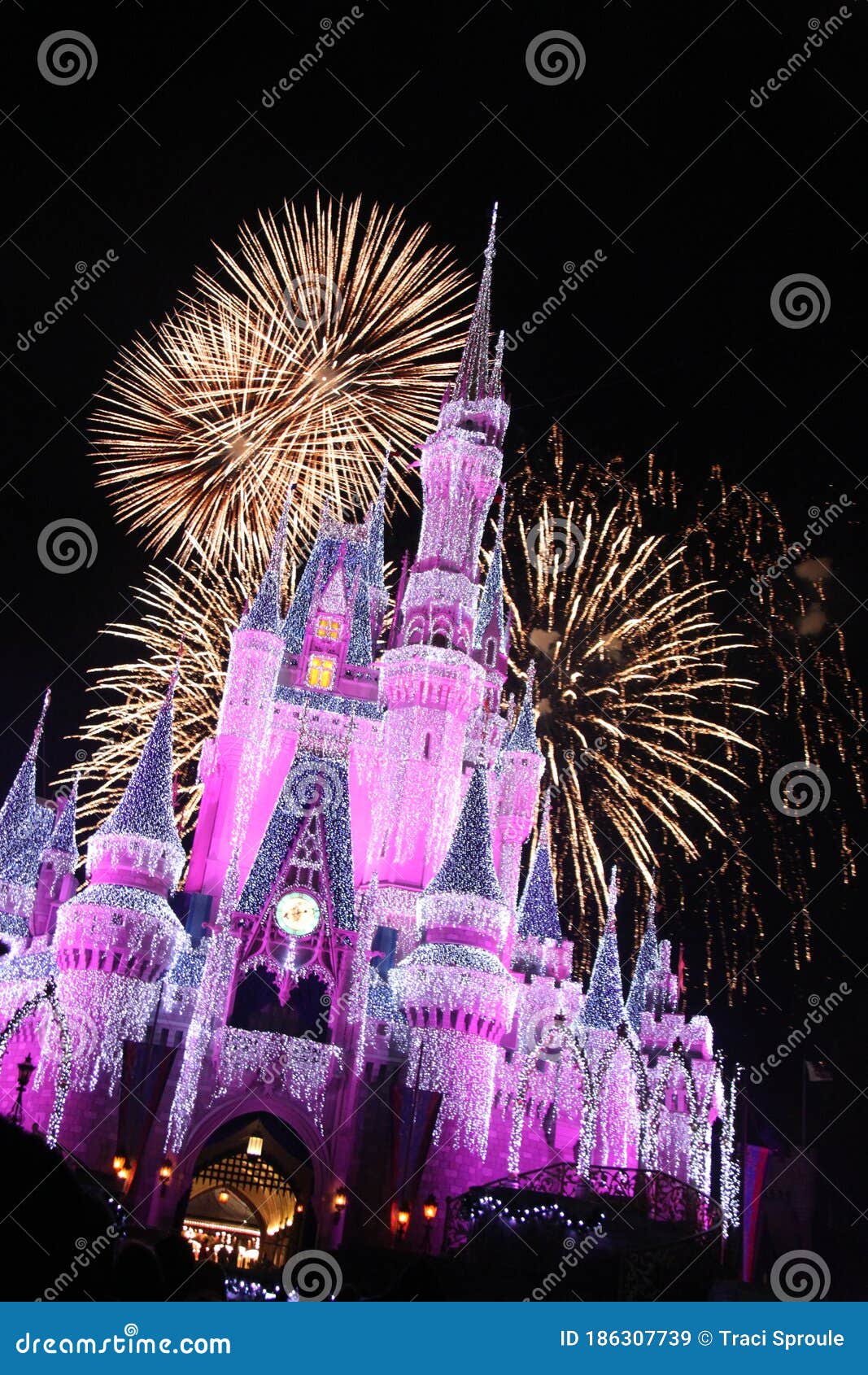 disney castle fireworks