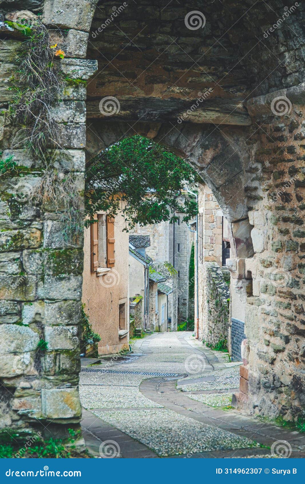 picturesque pathways: exploring the quaint streetscapes of old french villages.