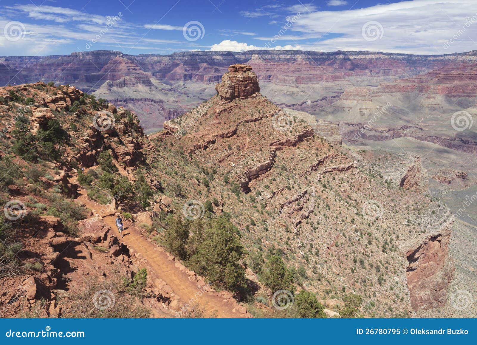 Wandernde Spur im Grand Canyon. SüdKaibab Spur nahe Zeder Ridge im Grand Canyon, Arizona