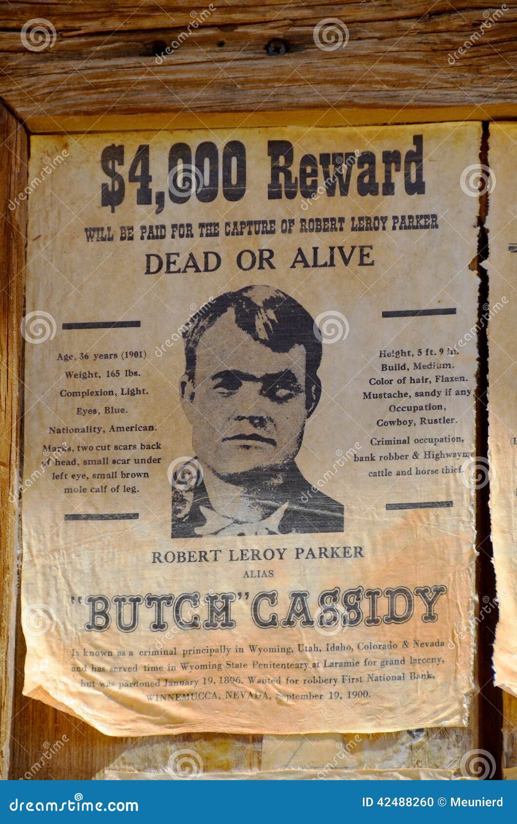 Cassidy Wanted Poster Editorial Photo | CartoonDealer.com #124983717