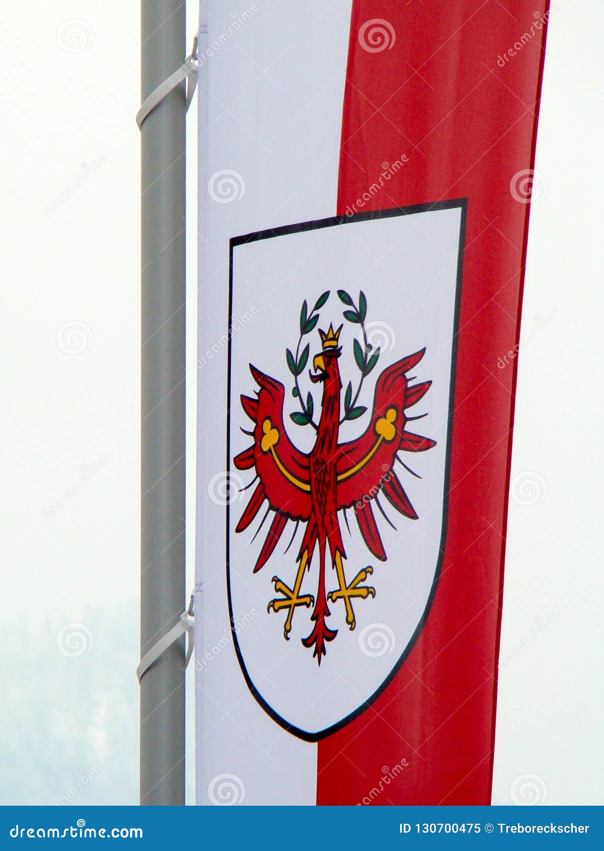 Wappen Auf Der Flagge Von Tirol In Osterreich Stockbild Bild Von Beamter Sonderkommando 130700475