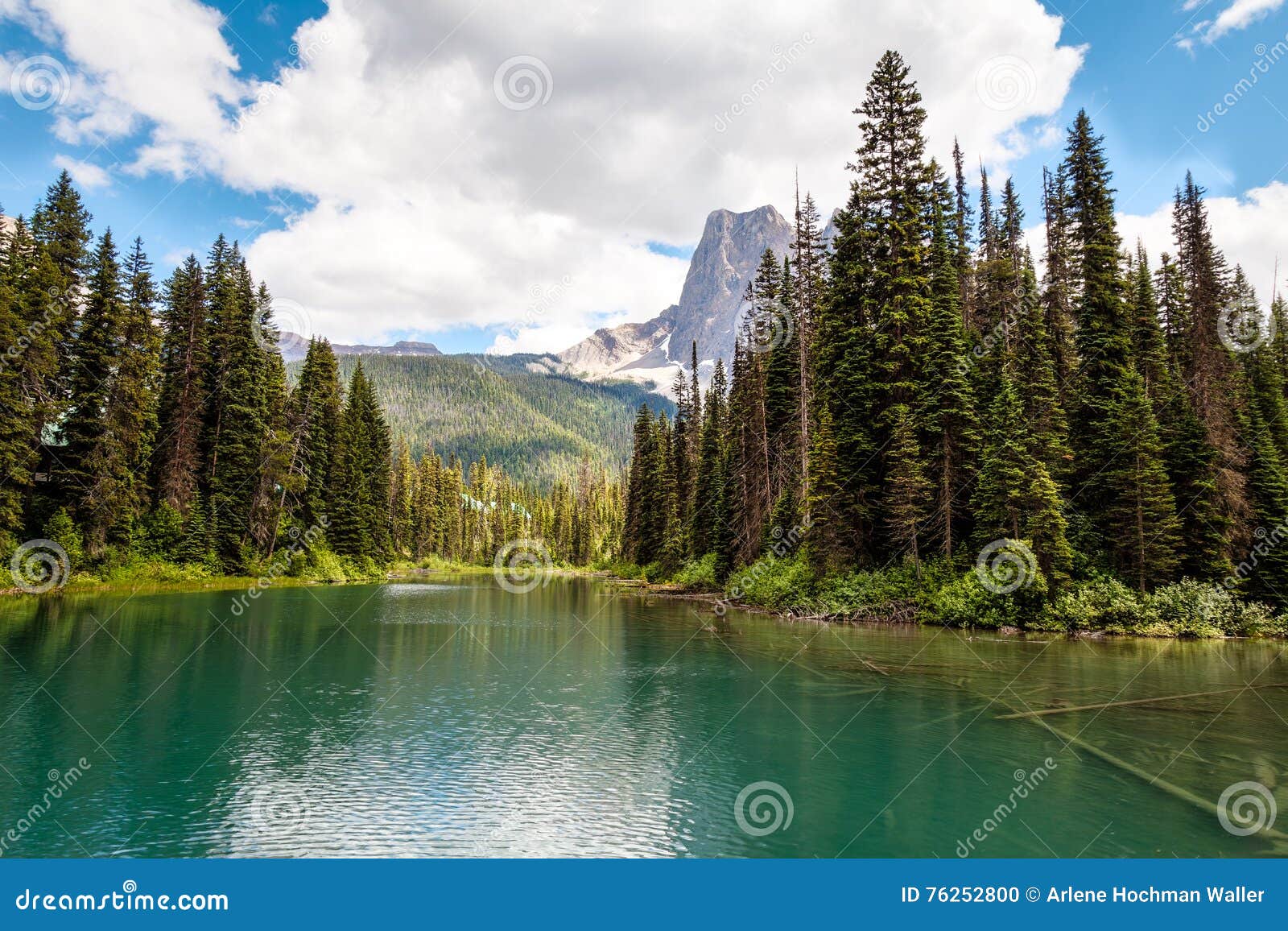 wapta lake, yoho national park, british columbia, canada.