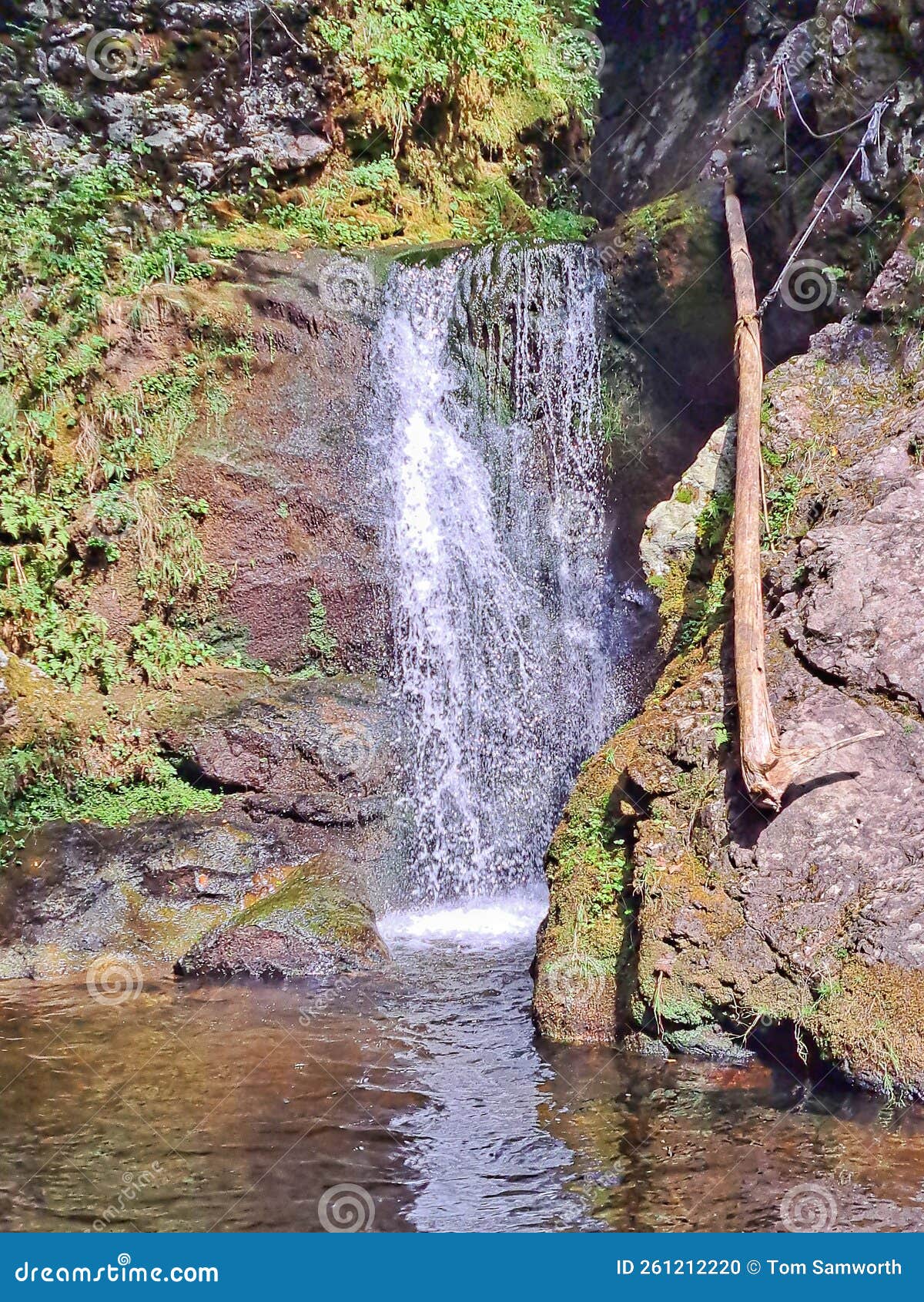 wards falls in nova scotia, canada