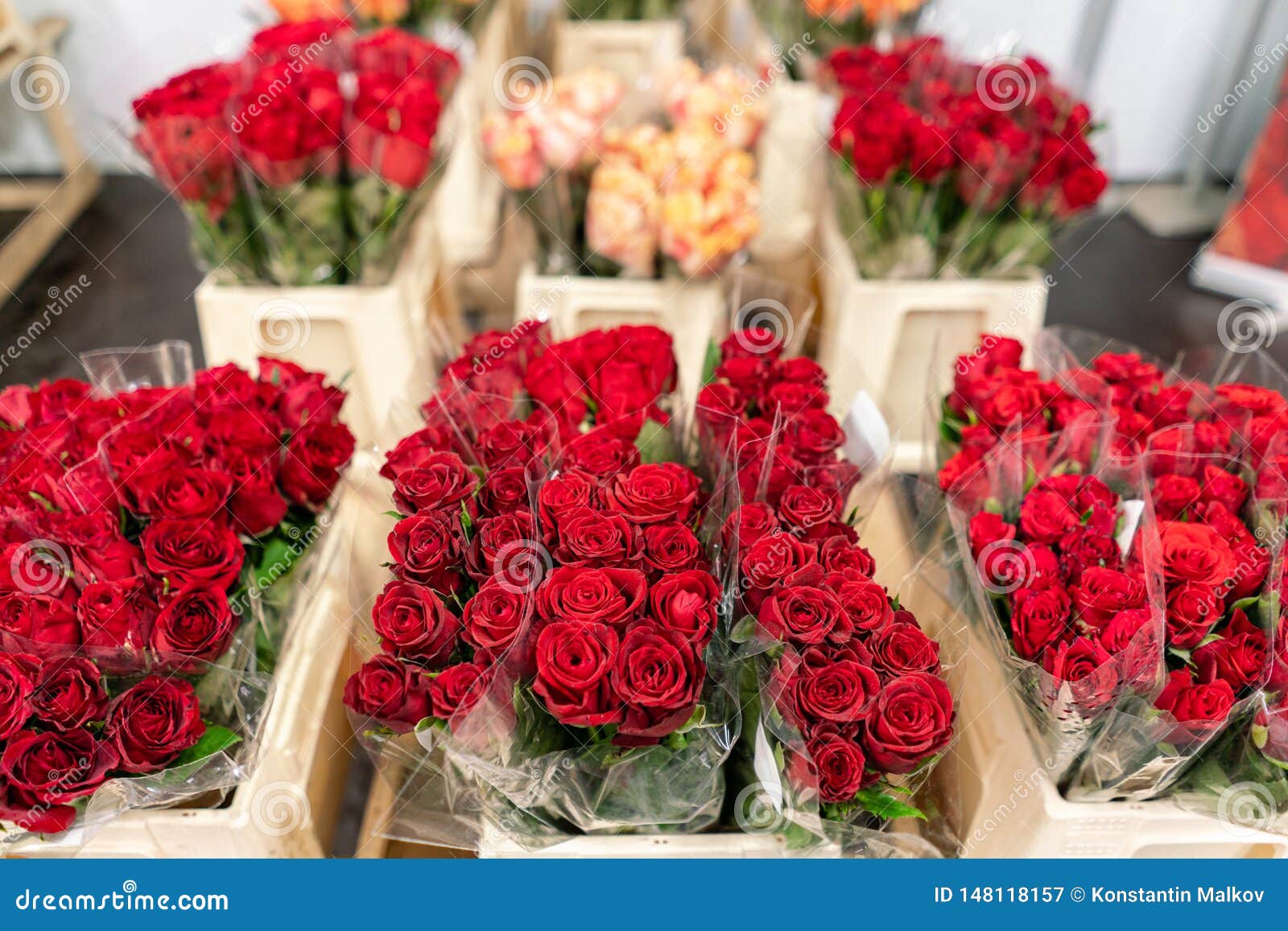 Warehouse Refrigerator, Wholesale Flowers for Flower Shops. Red Roses in a Plastic or Online Store Stock Image - Image of logistics, horticulture: 148118157