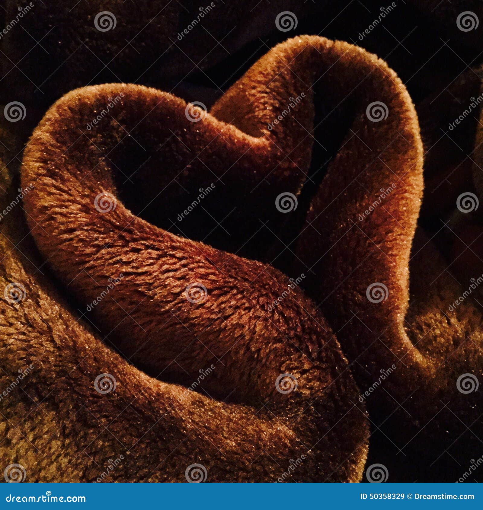 128 959 Warm Love Photos Free Royalty Free Stock Photos From Dreamstime 128 959 Warm Love Photos Free Royalty Free Stock Photos From Dreamstime