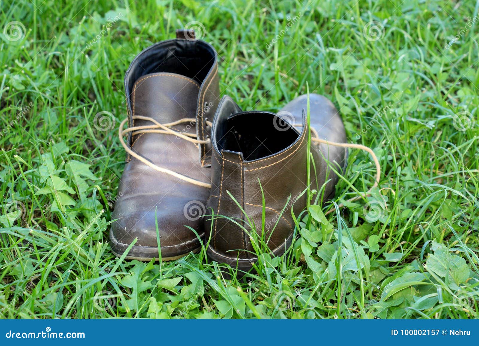 Warm Men`s Leather Boots on a Grass Background Stock Image - Image of ...