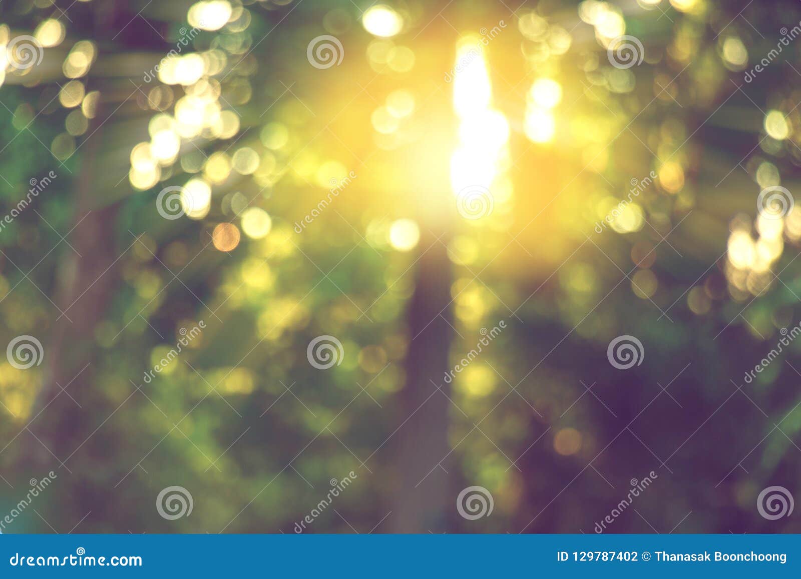 warm yellow bokeh light through blurred tree