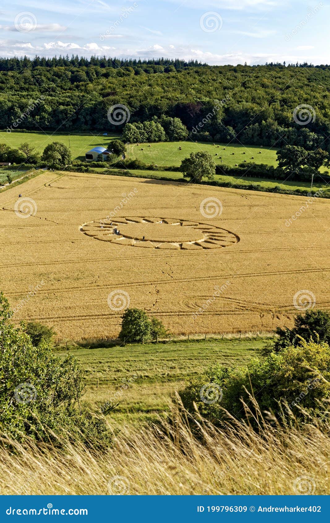 Cley Hill, Wiltshire