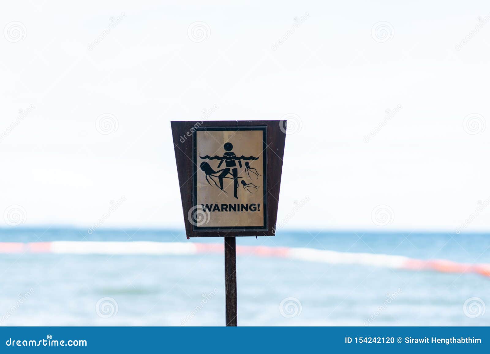 Box Jellyfish Safety, Darwin, Australia Editorial Photo CartoonDealer