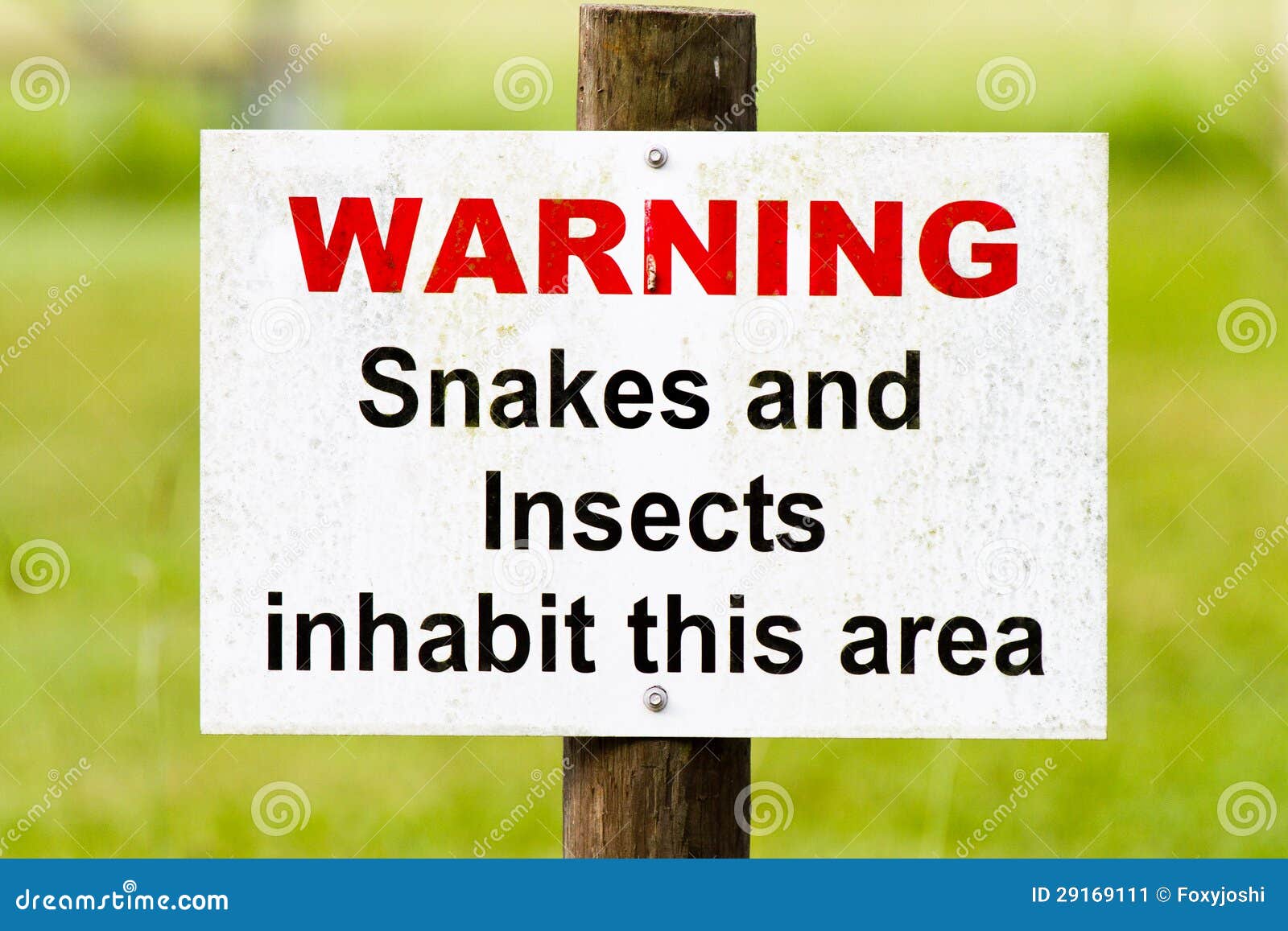 Warning Sign Snakes & Insects Stock Image Image of florida, lakeland