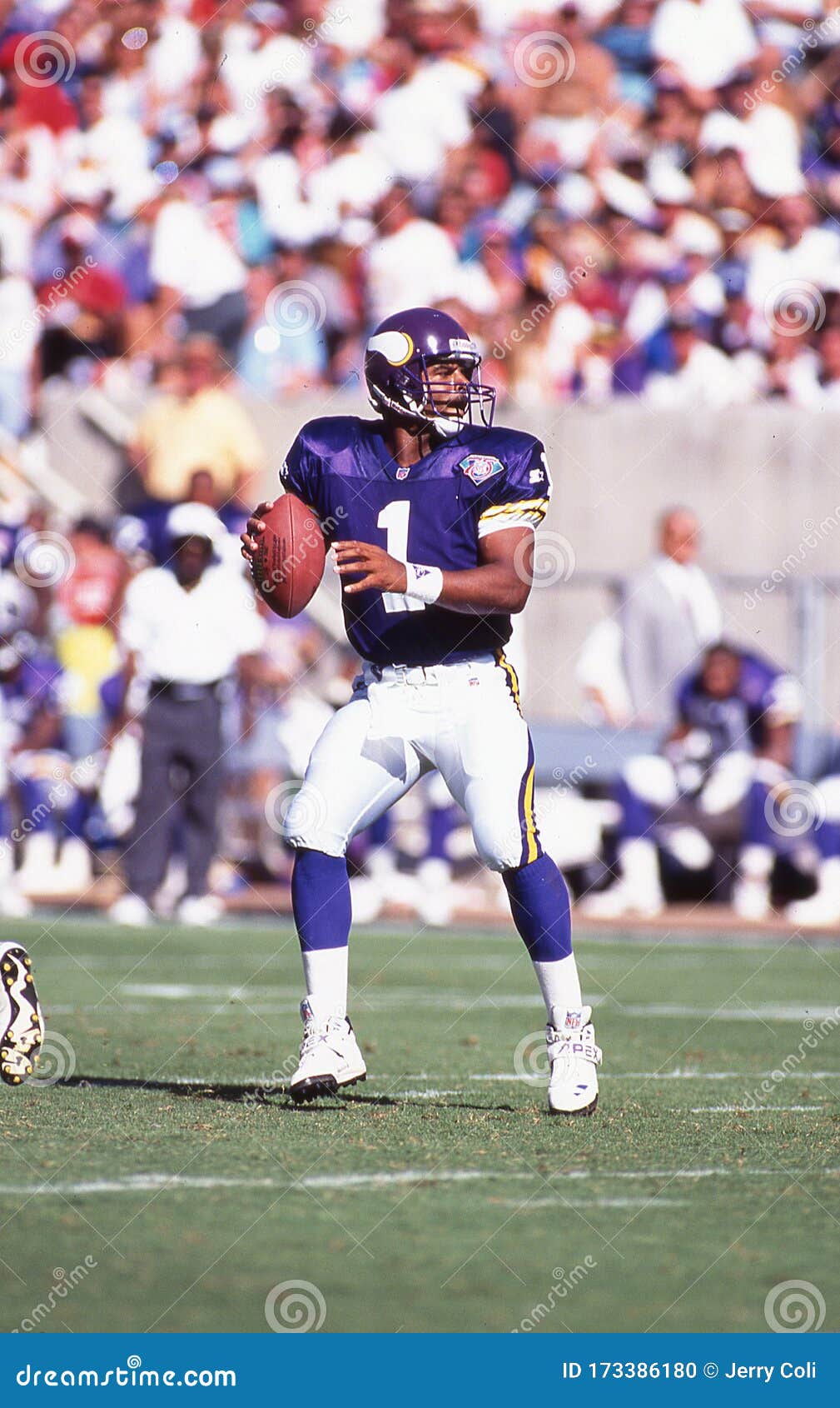 warren moon vikings