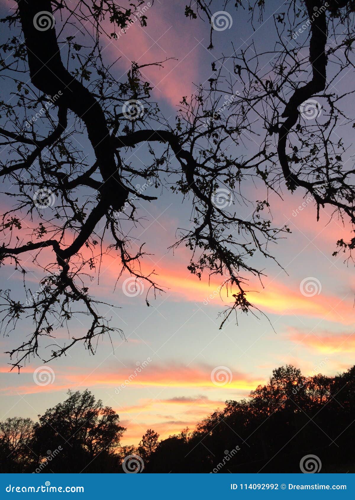pink sunset clouds in texas