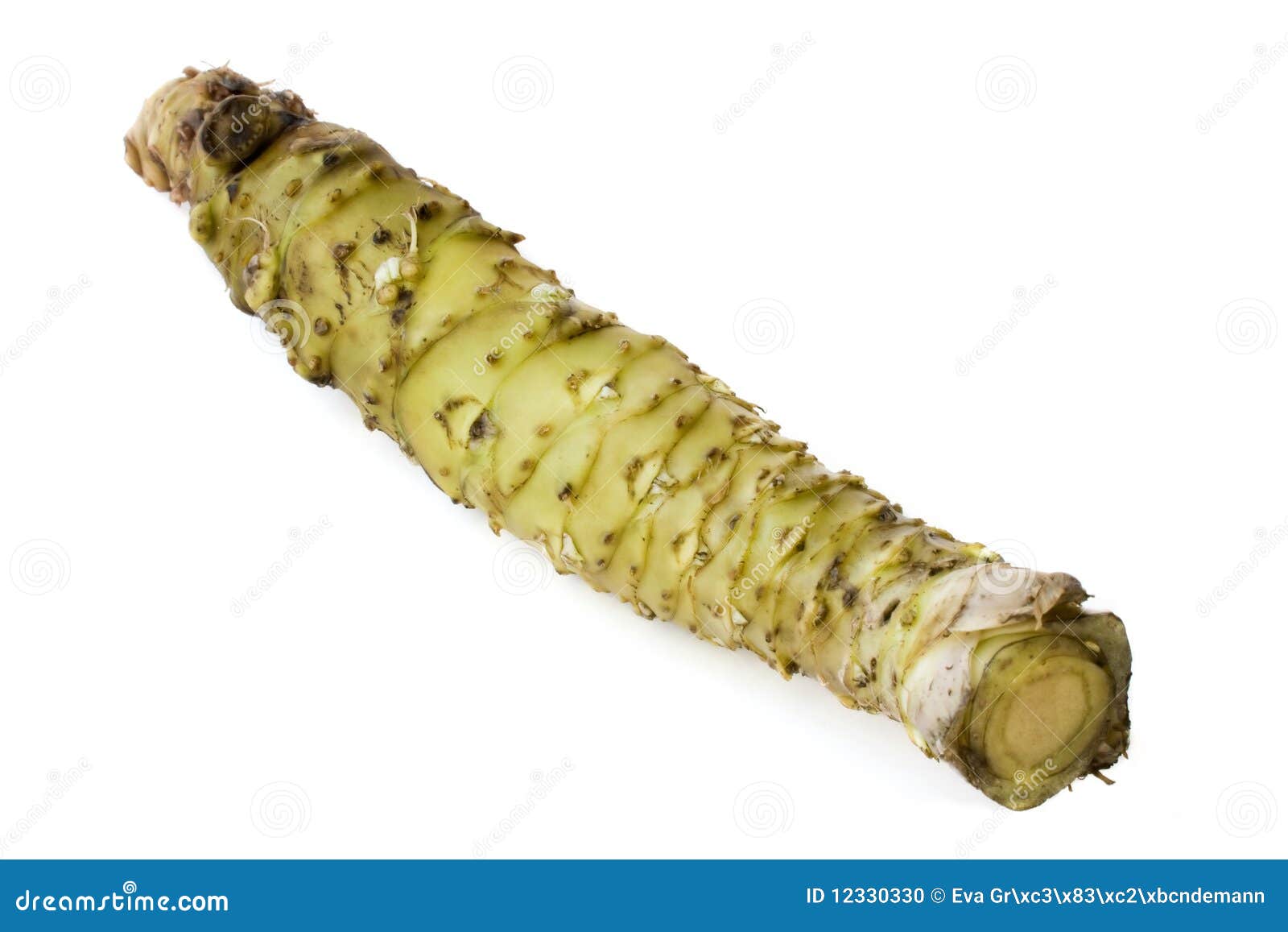Wasabi stock photo. Image of wasabi, spice, flavor, cochlearia 12330330