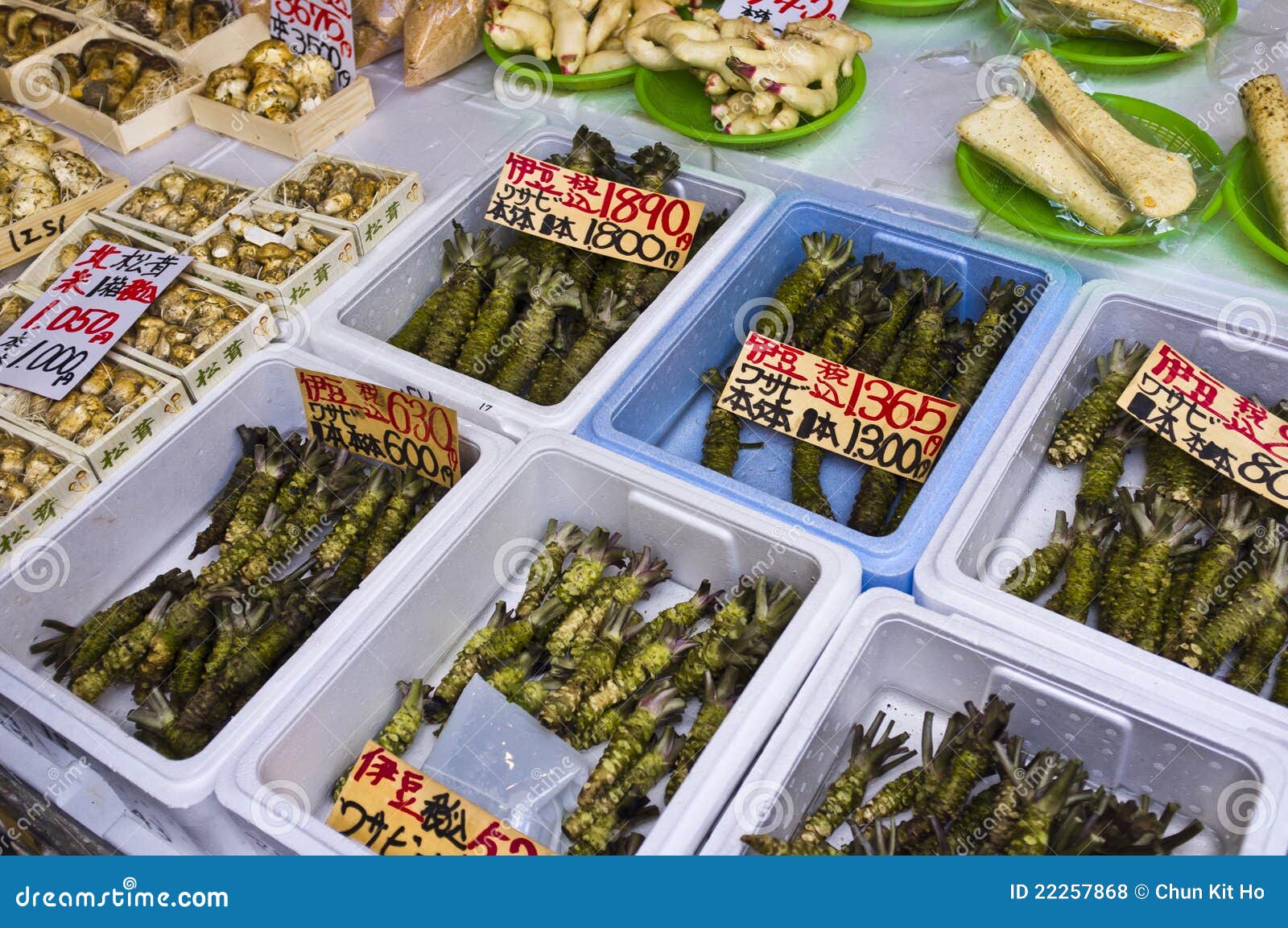 Wasabi editorial stock photo. Image of root, horseradish 22257868