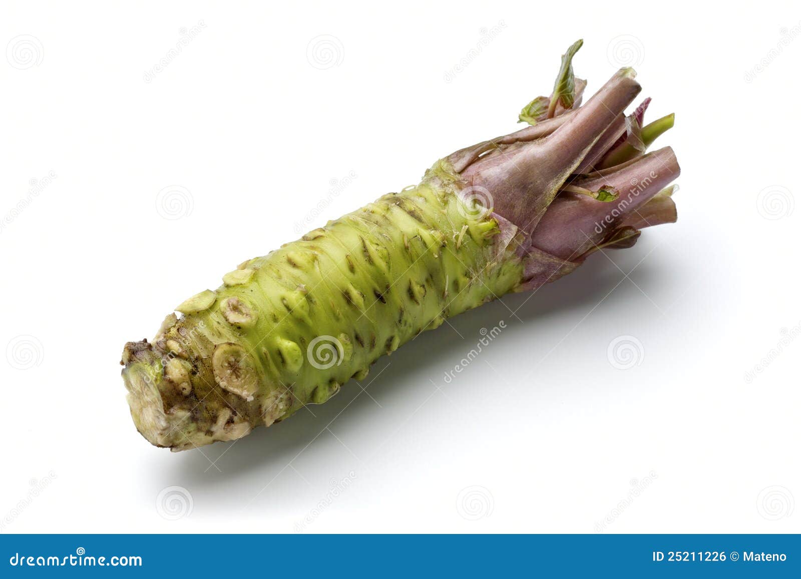 Wasabi stock photo. Image of isolated, vegetable, wasabi 25211226