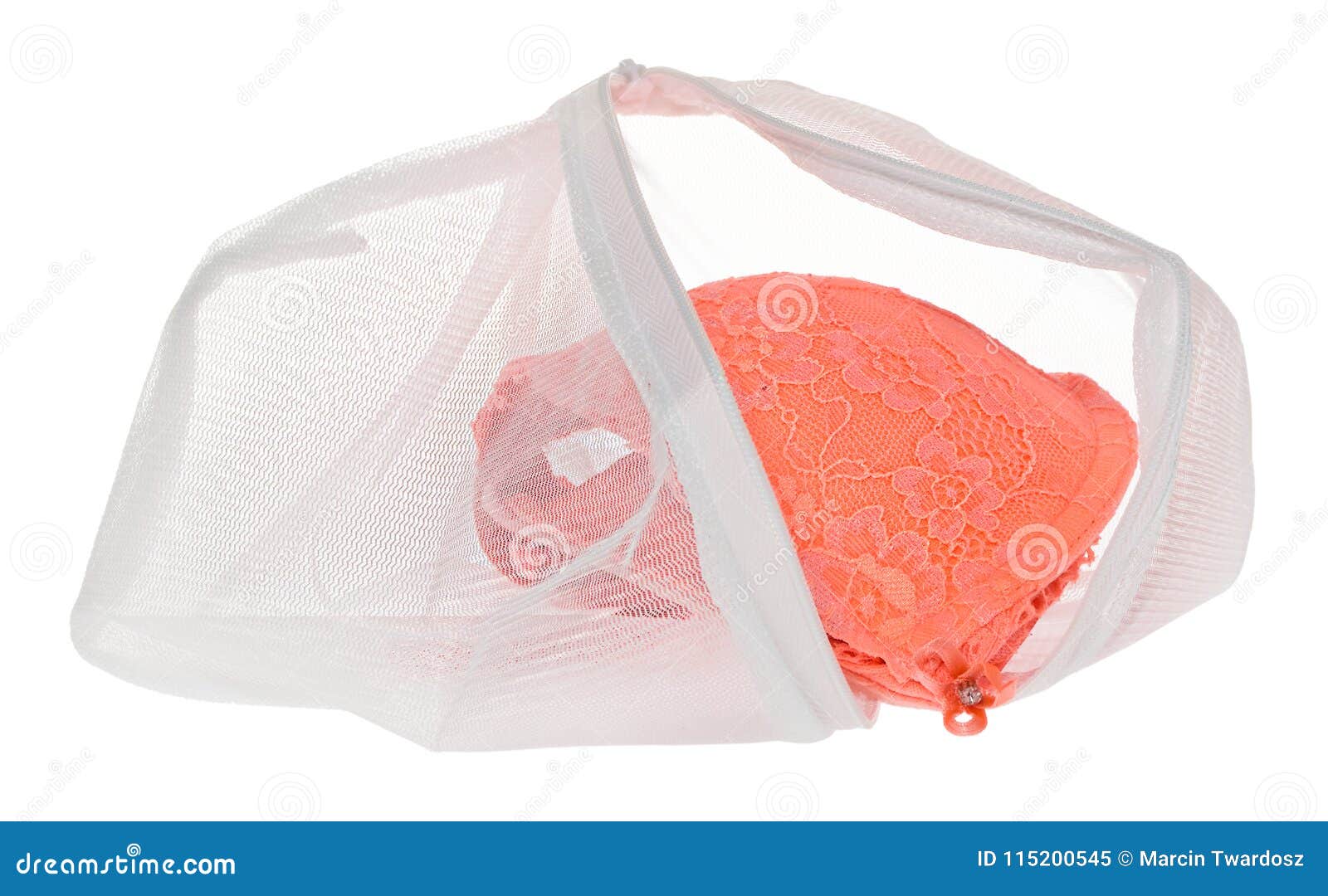 Wash Bag for Delicate Clothes, Shoes, Underwear, Bra. a Laundry Stock Image  - Image of clothes, hygiene: 115200545