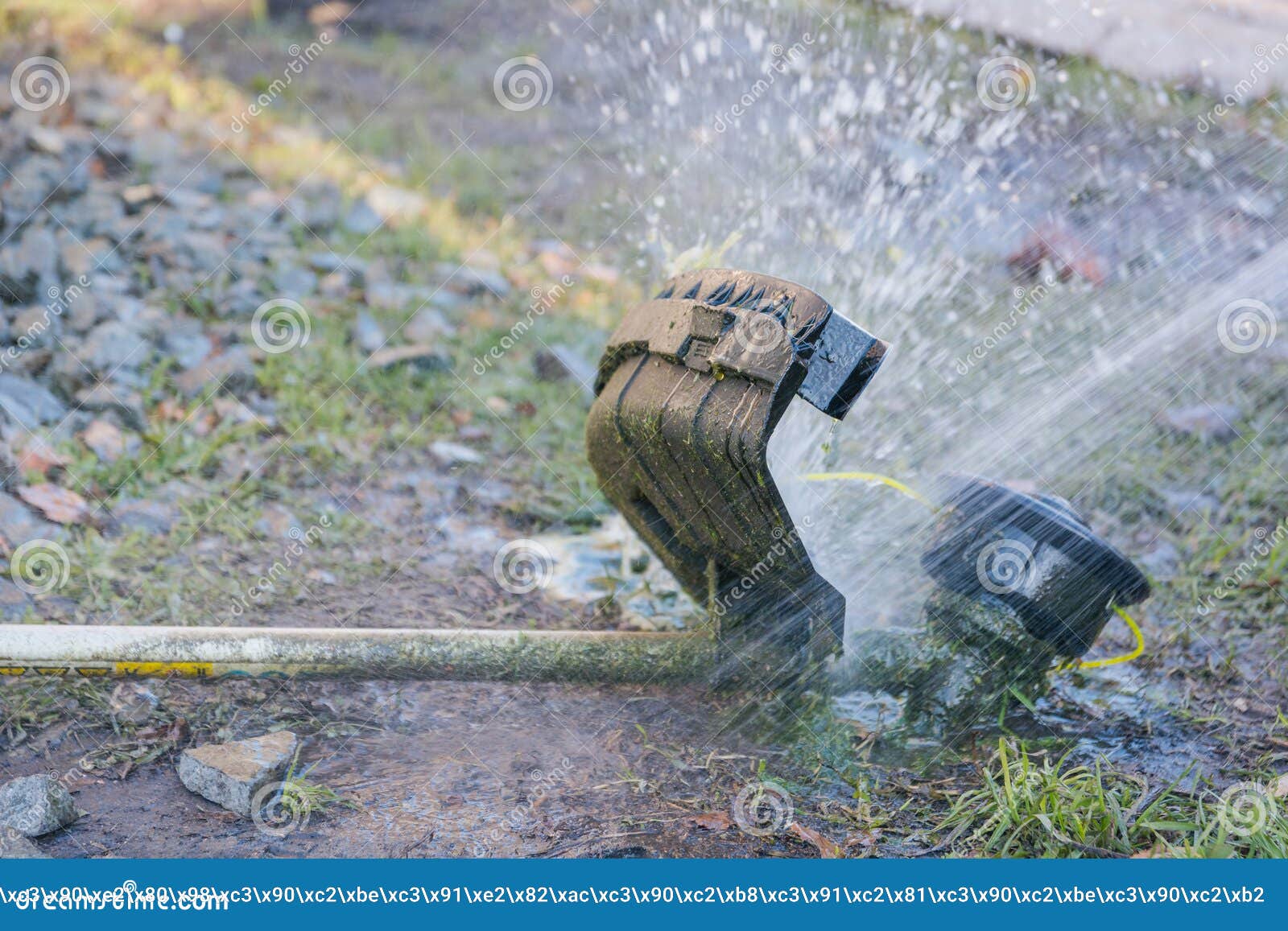 Wash trimmer after work stock image. Image of spring 103616497