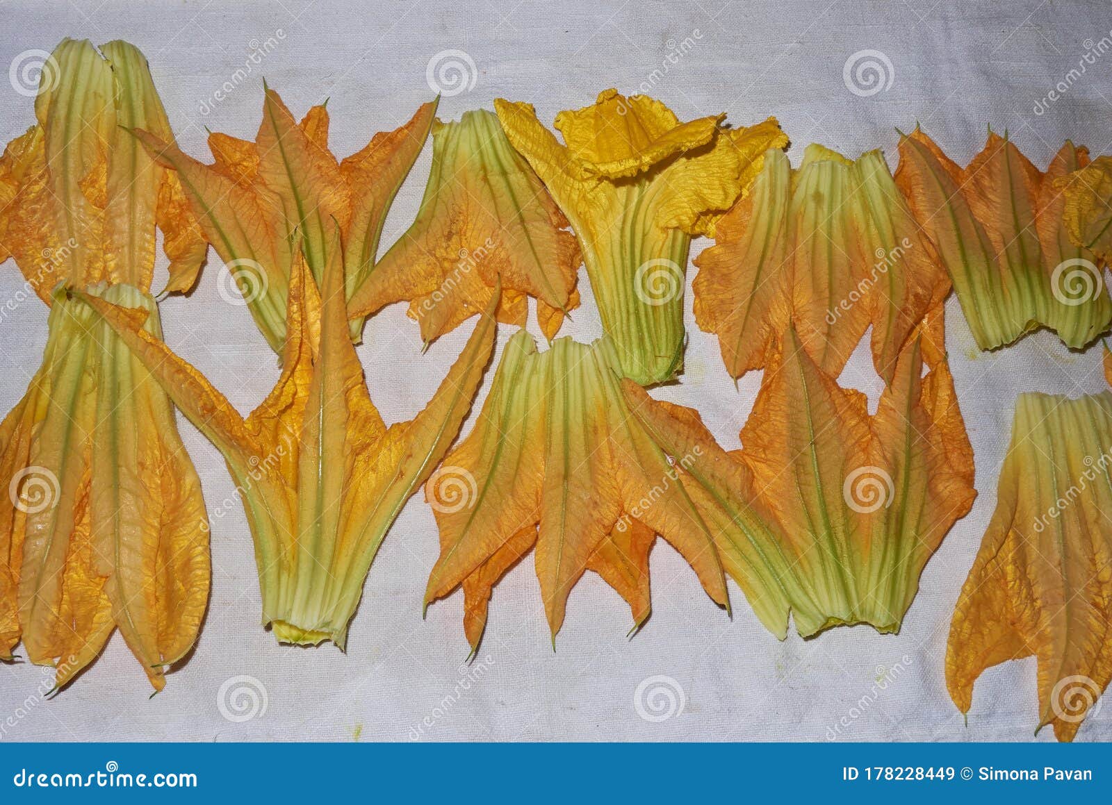 Fresh courgette flowers stock image. Image of minerals 178228449