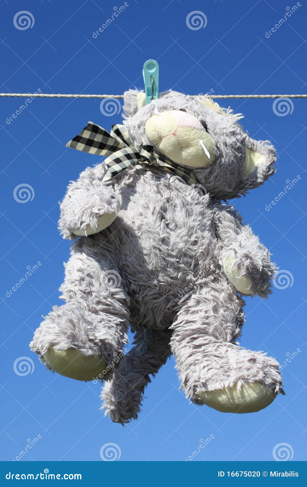 A washed toy cat stock photo. Image of clothes, outdoors 16675020