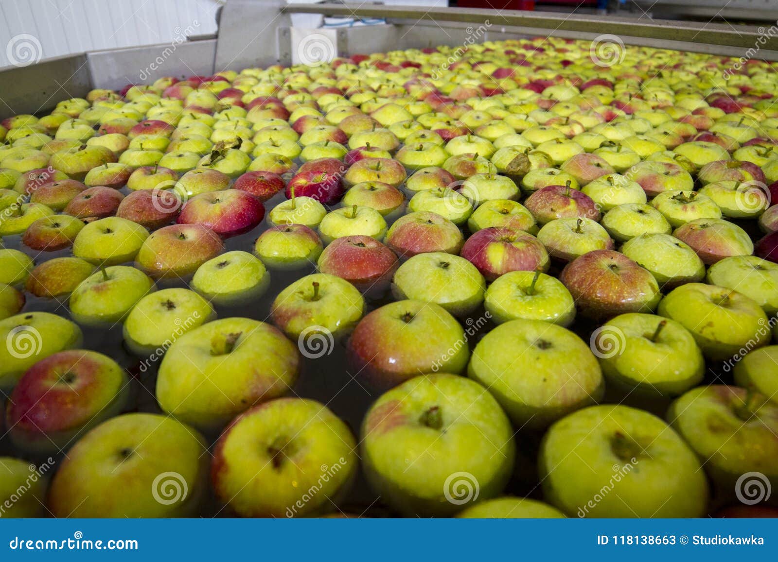 Washing Apples in the Fruit Processing Plant, Close Stock Image Image