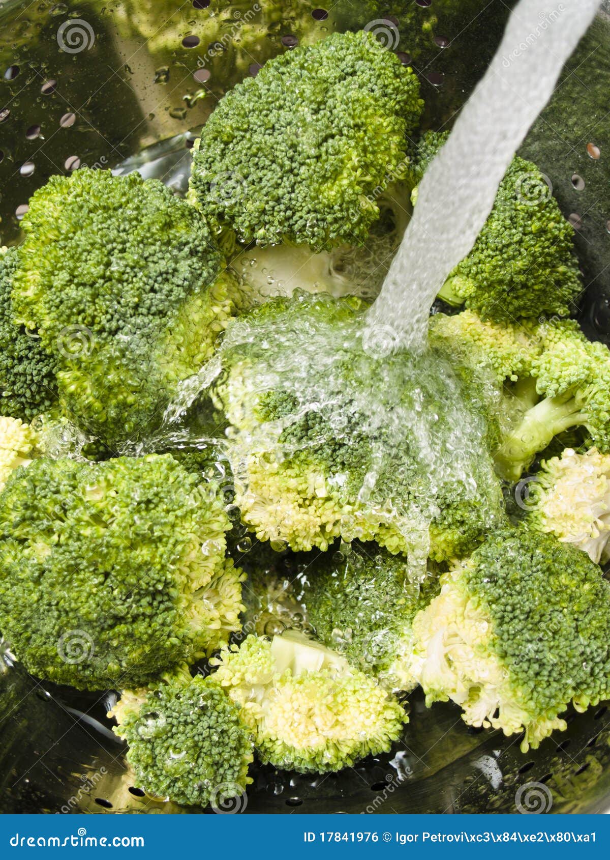 Washing Broccoli Picture. Image 17841976