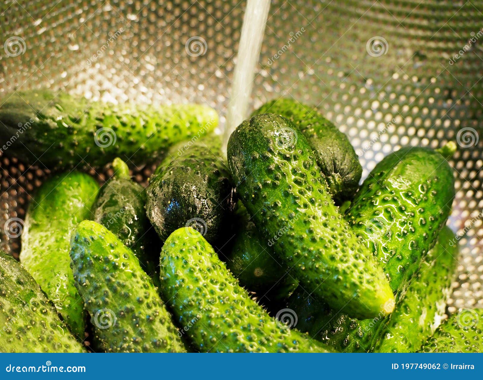 Washing cucumbers stock photo. Image of water, vegetarian 197749062
