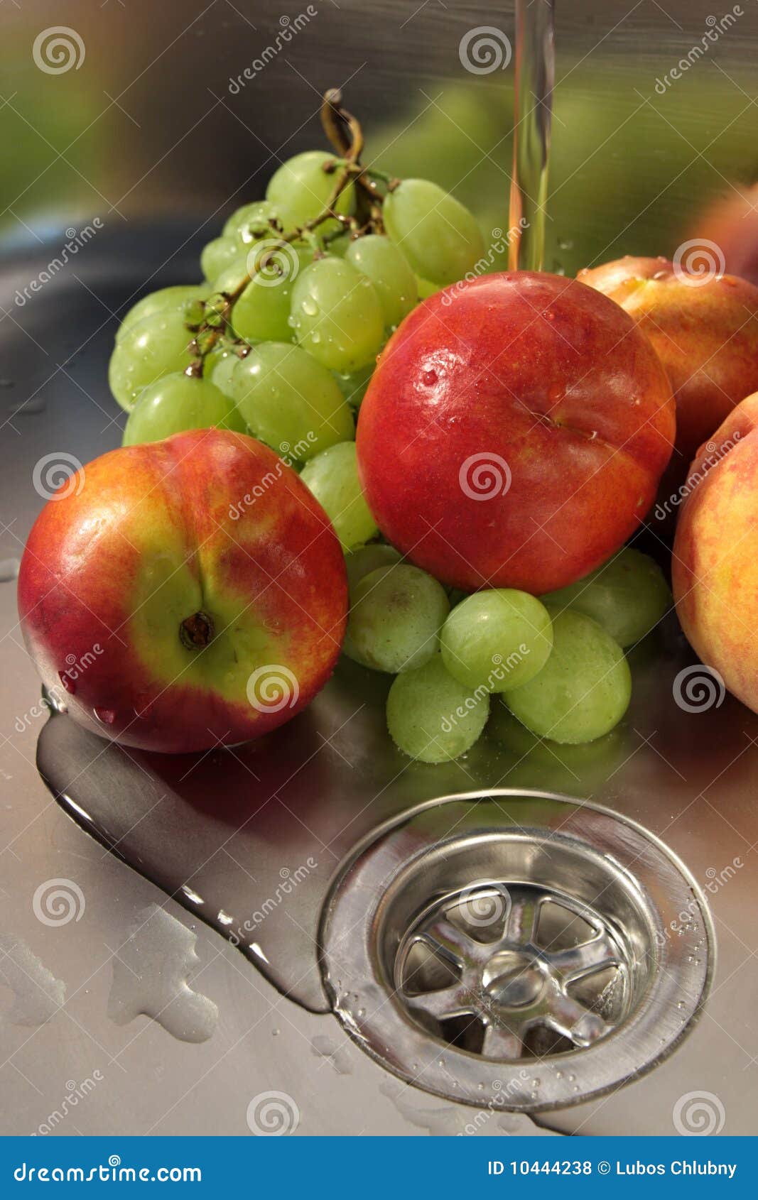 Washing fruits stock photo. Image of spray, grapes, bowl 10444238