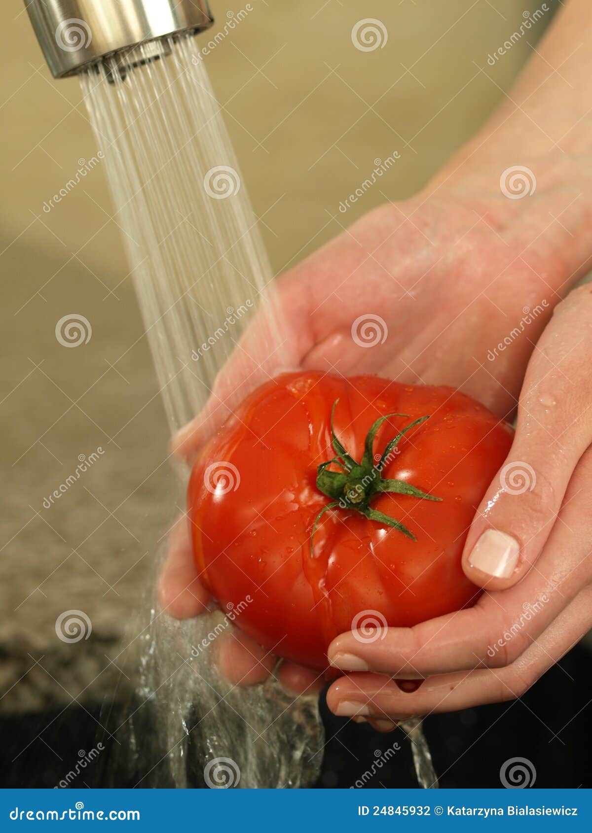 Washing tomato stock photo. Image of diet, preparing 24845932