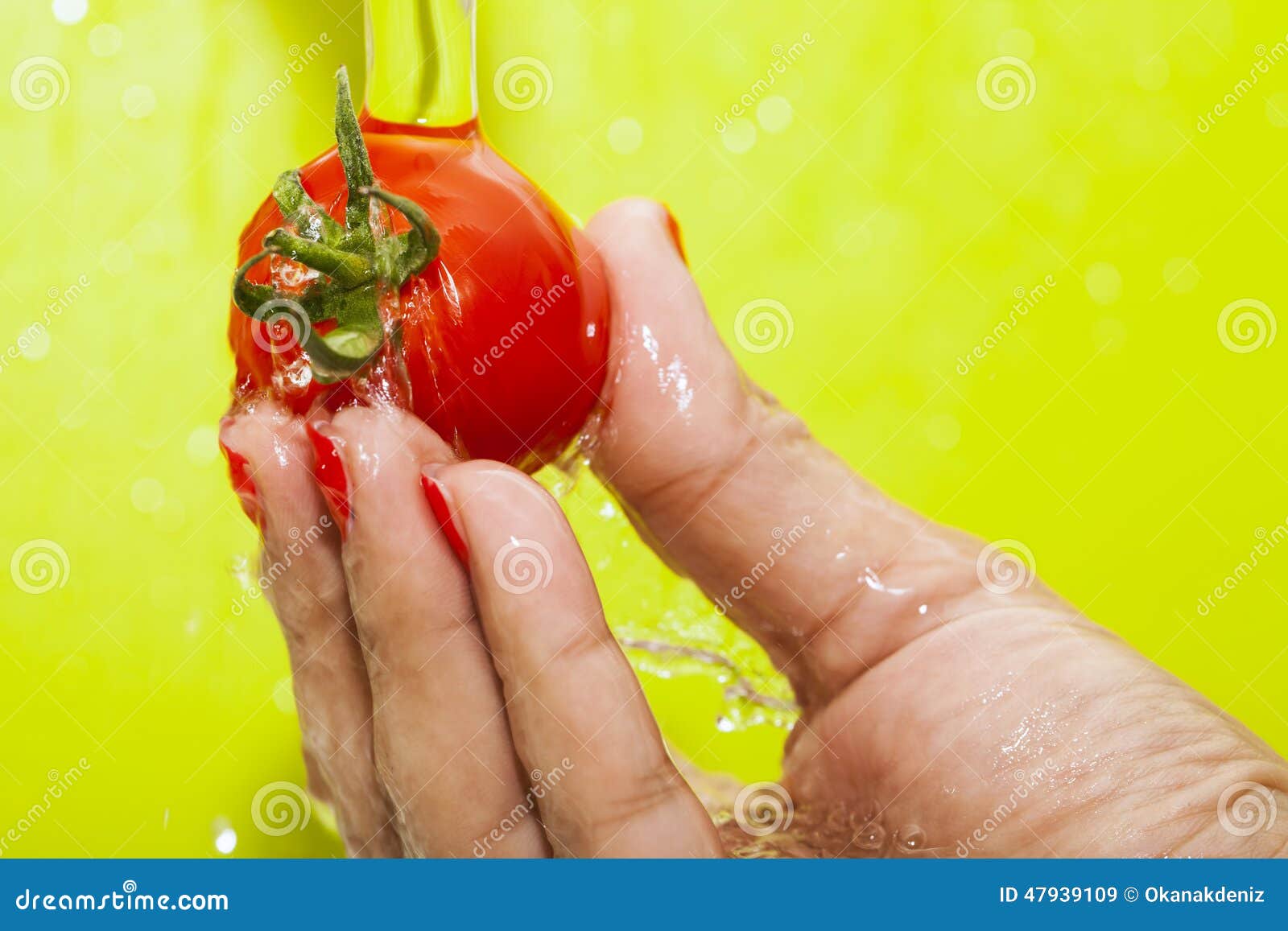 Washing Tomato stock image. Image of hygiene, cleaning 47939109