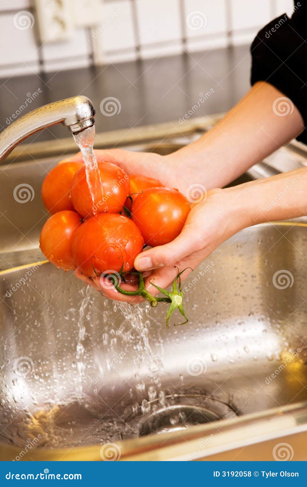 Washing Tomatoes stock photo. Image of wash, produce, kitchen 3192058